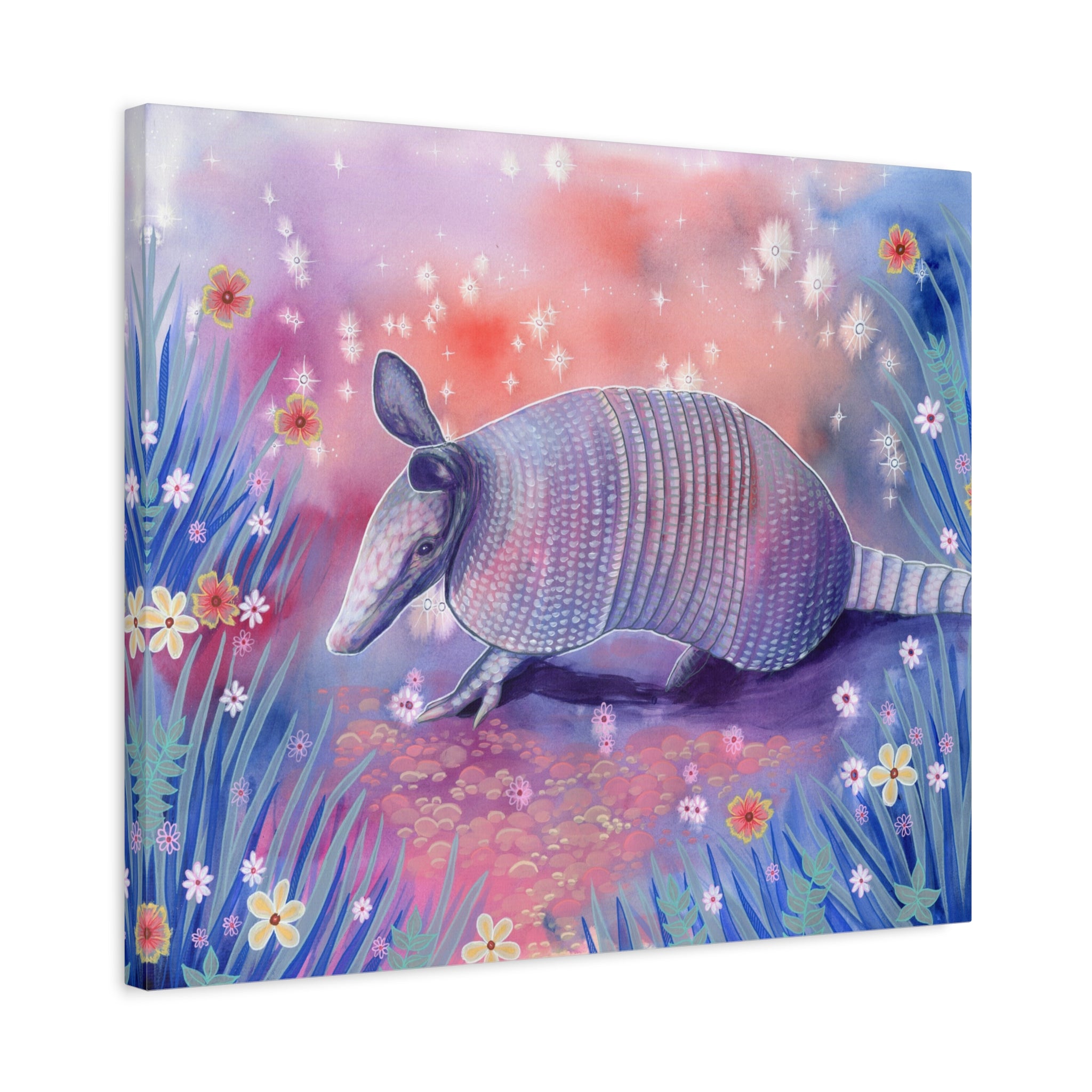 Armadillo Canvas Print