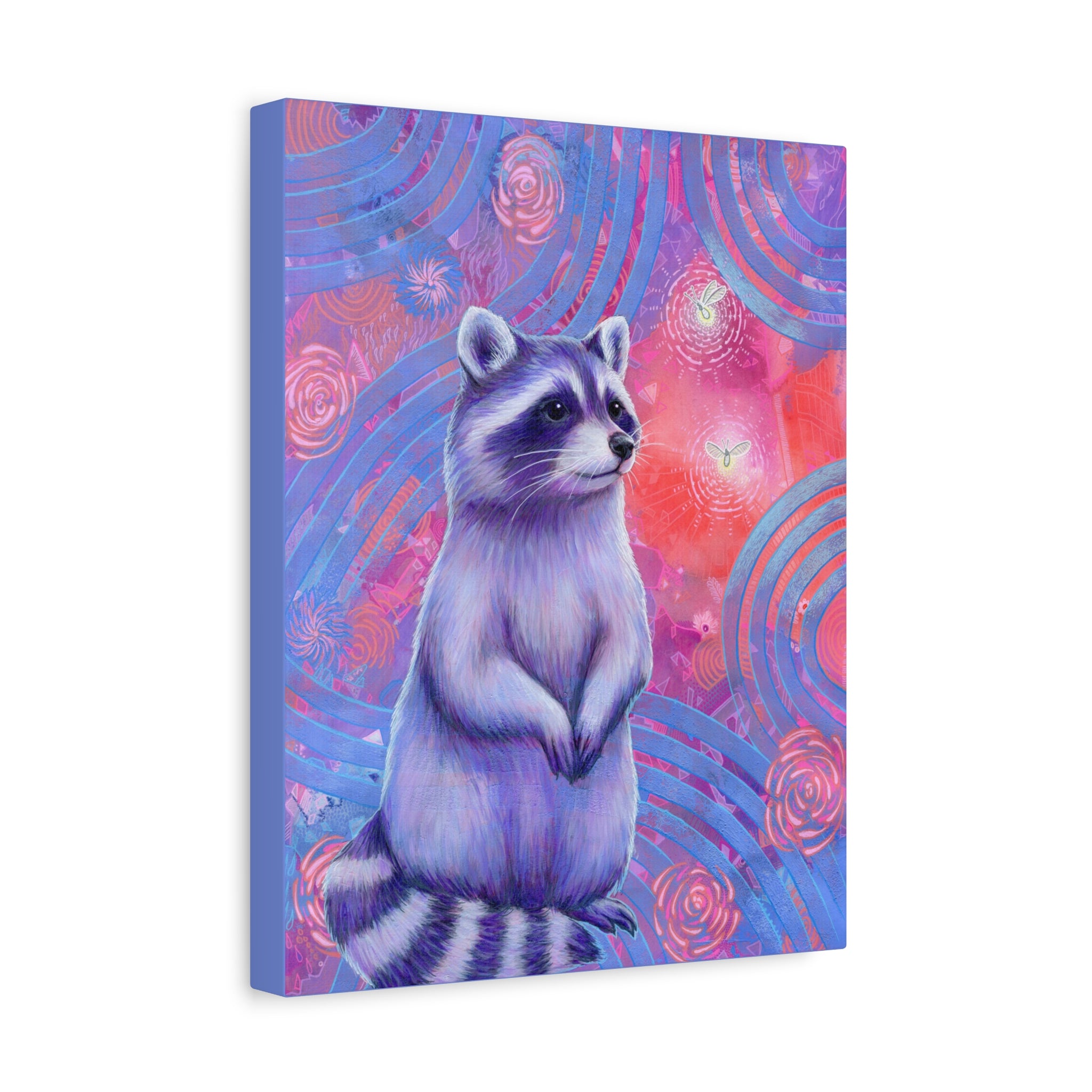 Curious Raccoon Canvas Print