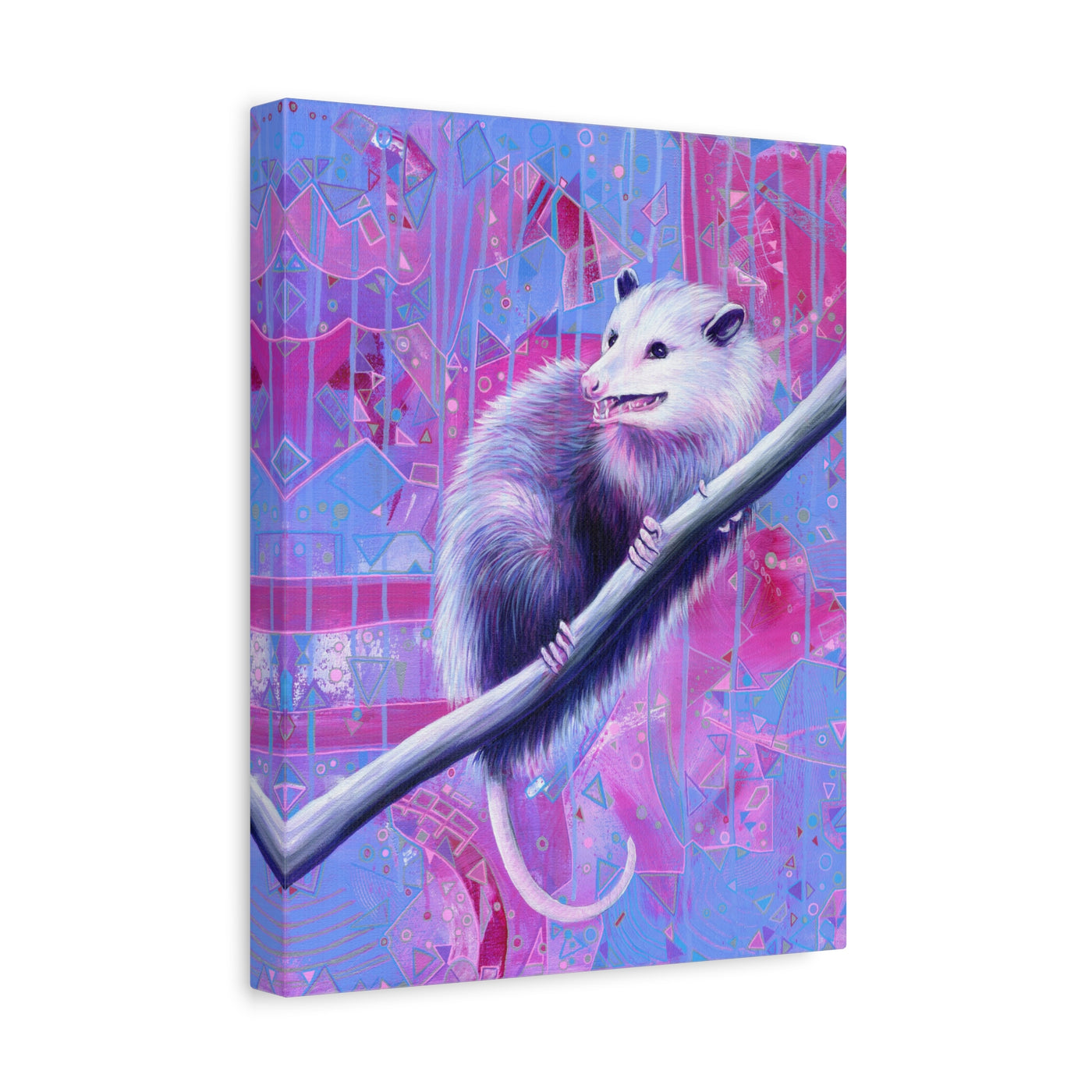 The Opossum Canvas Print