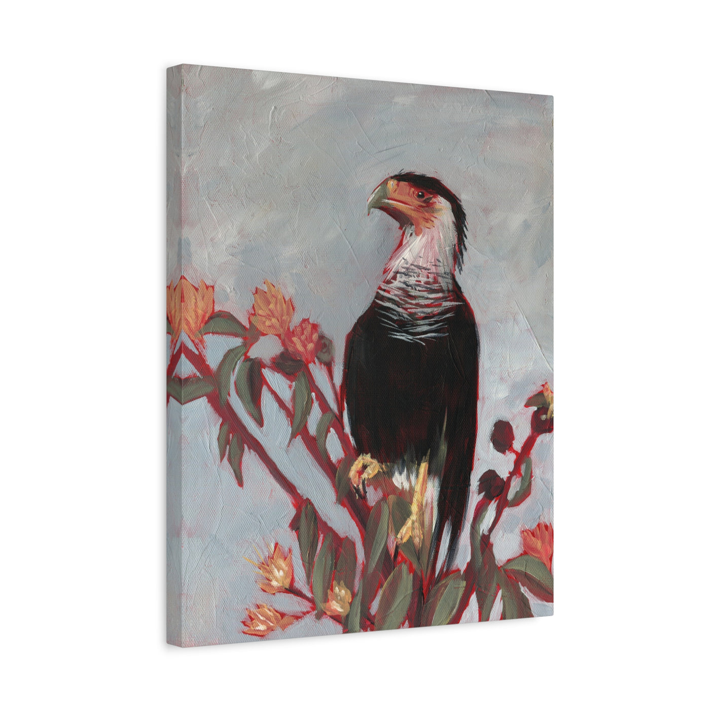 Crested Caracara Print