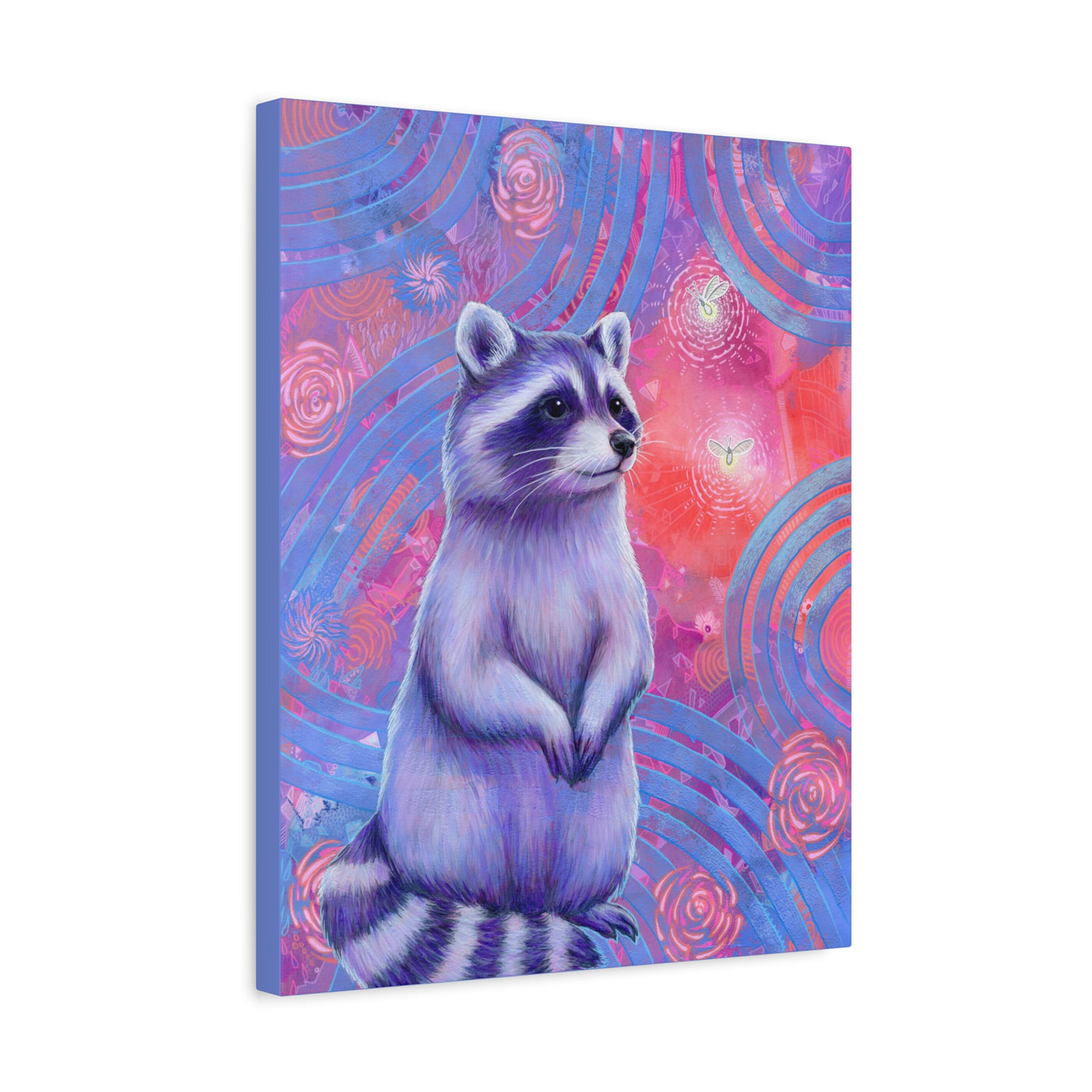 Curious Raccoon Canvas Print