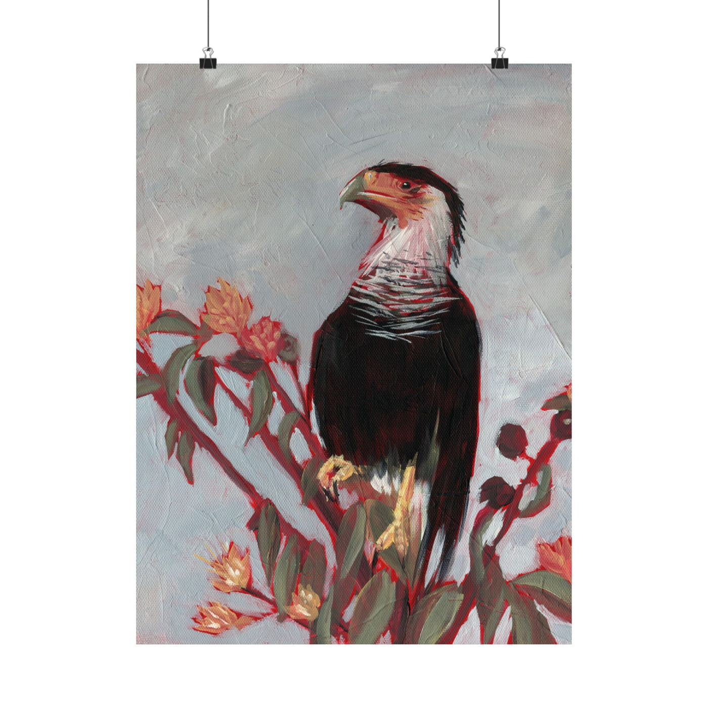 Crested Caracara Poster Print