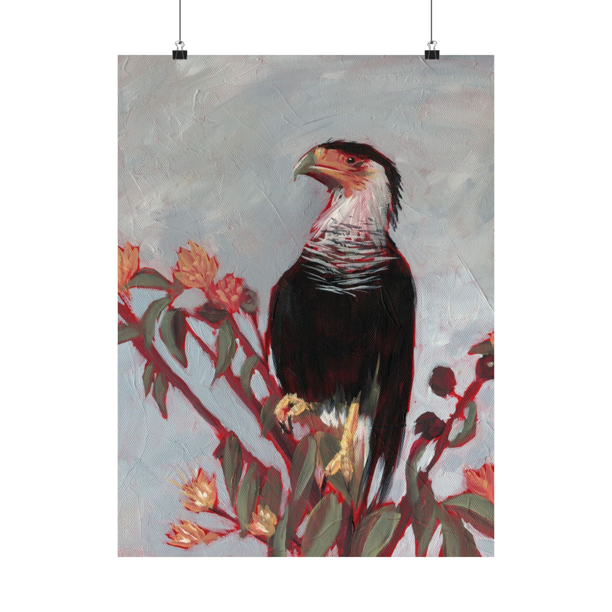 Crested Caracara Poster Print
