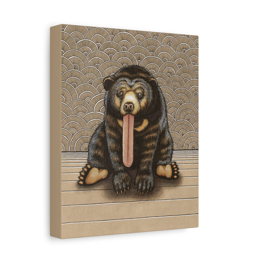 Sun Bear Canvas Print