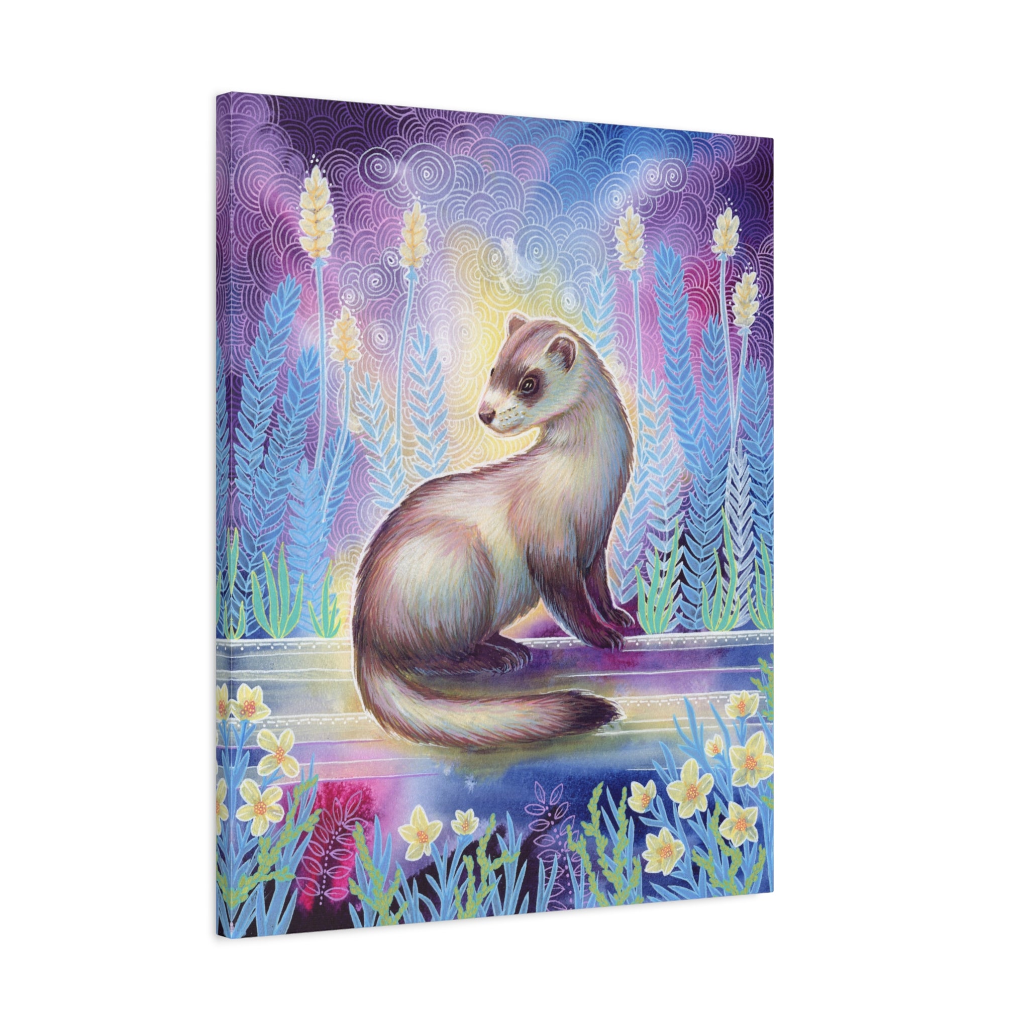 Ferret Canvas Print