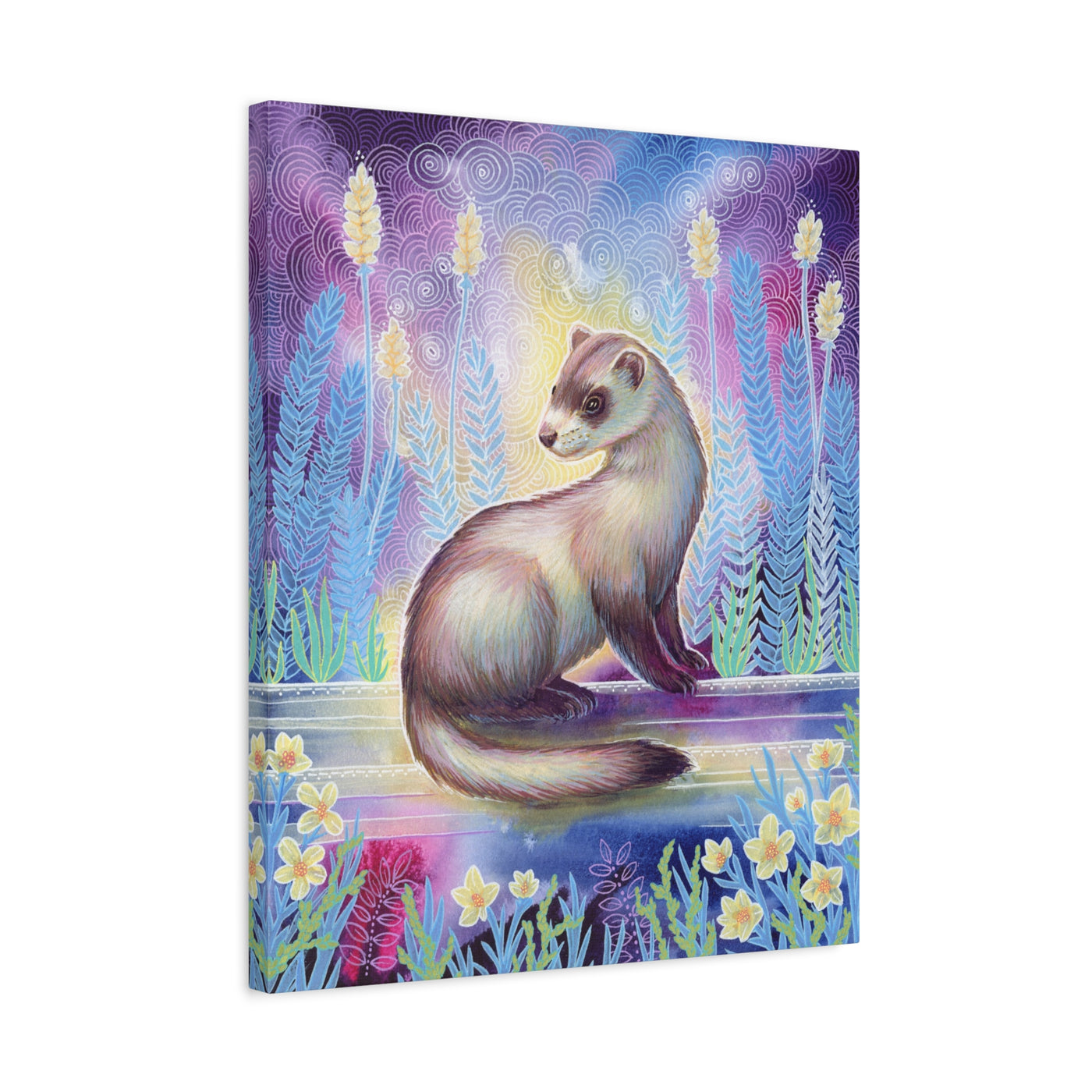 Ferret Canvas Print