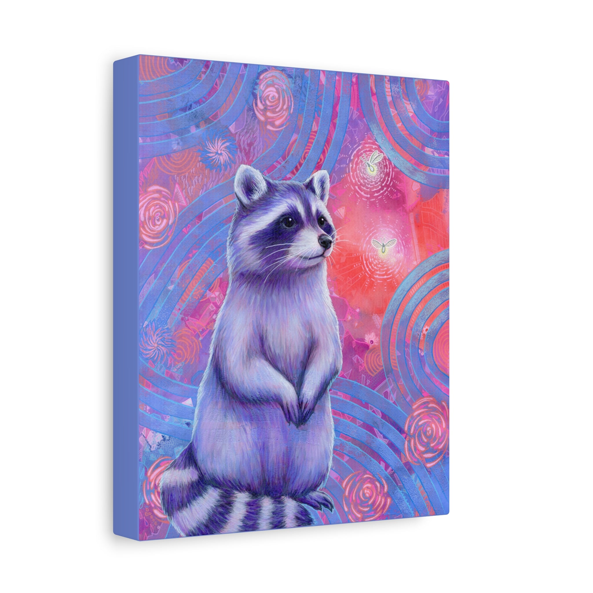 Curious Raccoon Canvas Print