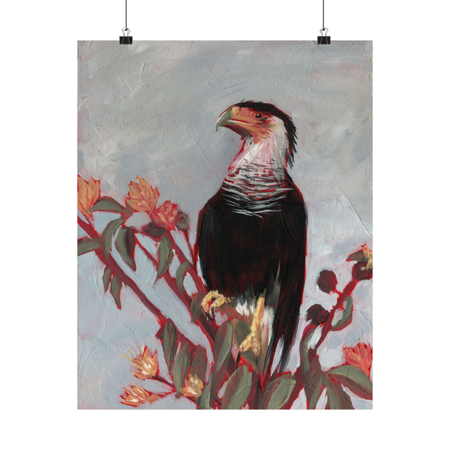Crested Caracara Poster Print