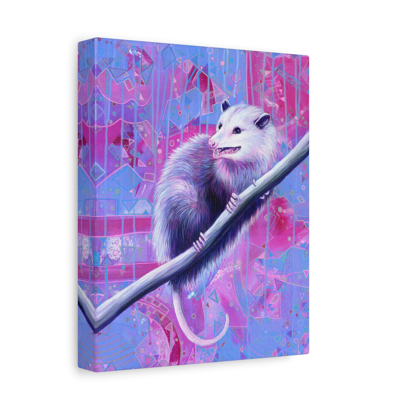The Opossum Canvas Print