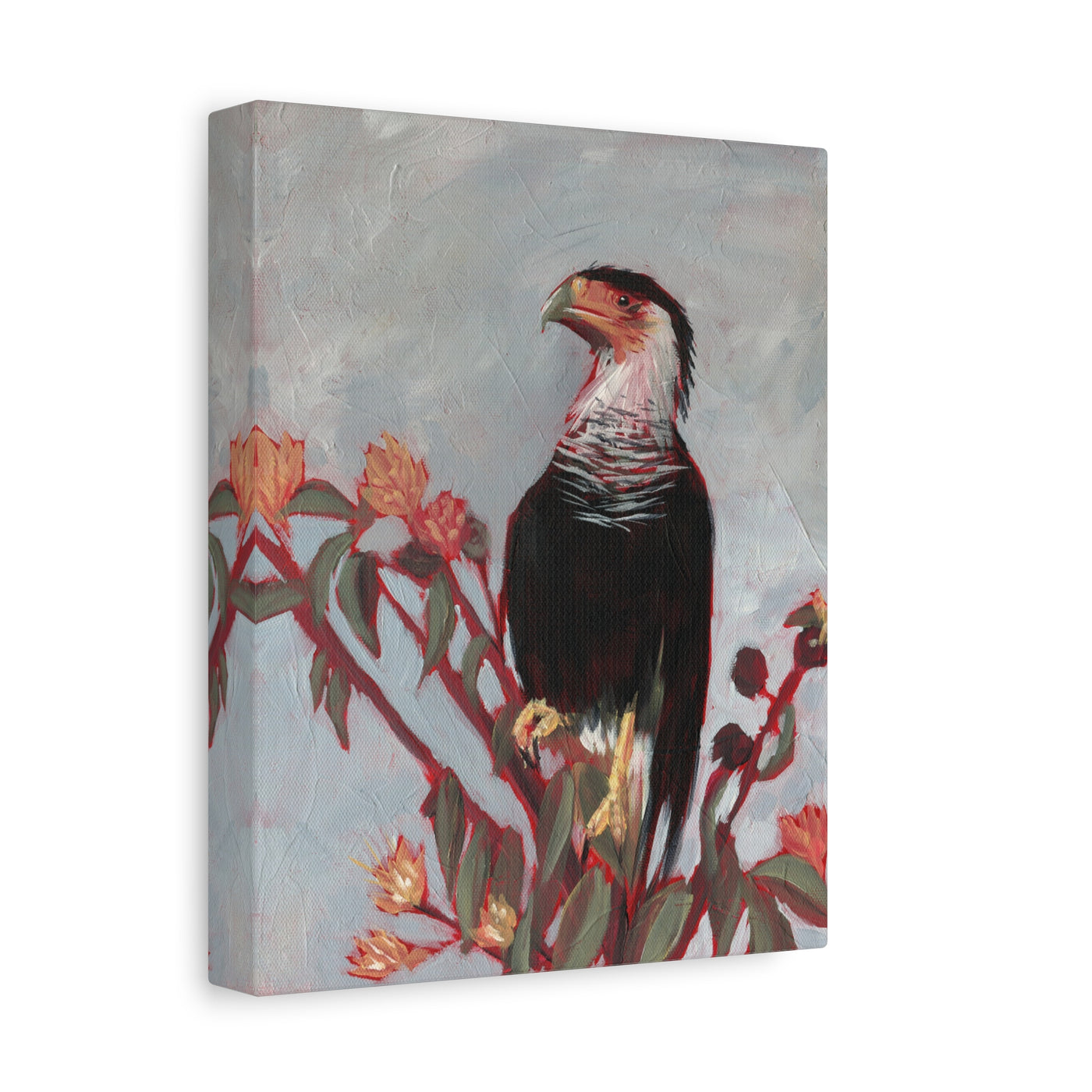 Crested Caracara Print