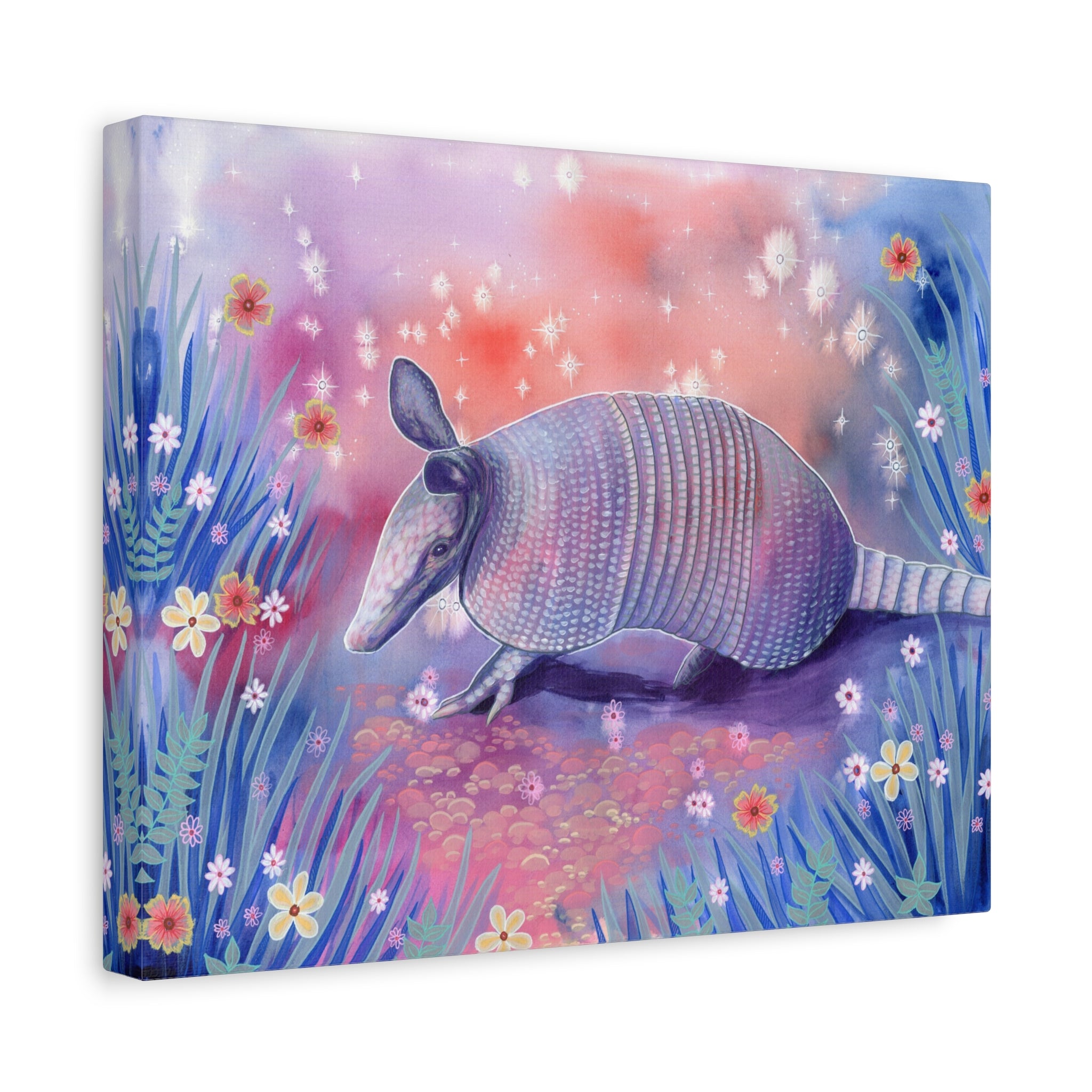 Armadillo Canvas Print