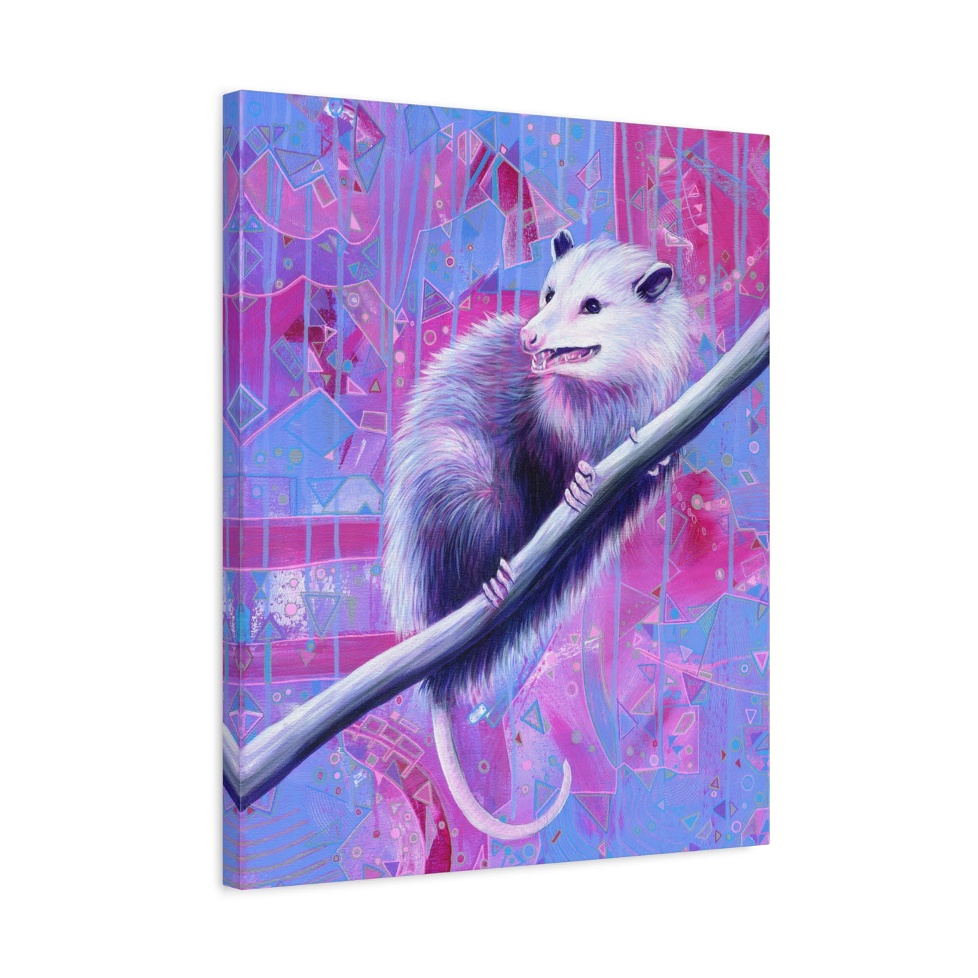 The Opossum Canvas Print