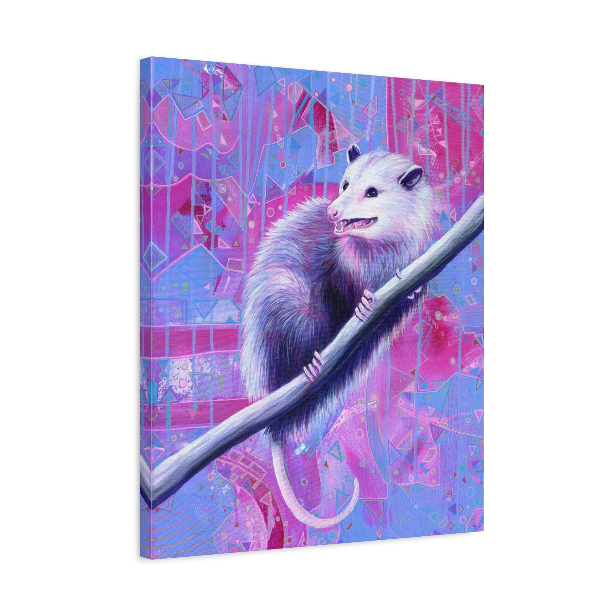 The Opossum Canvas Print