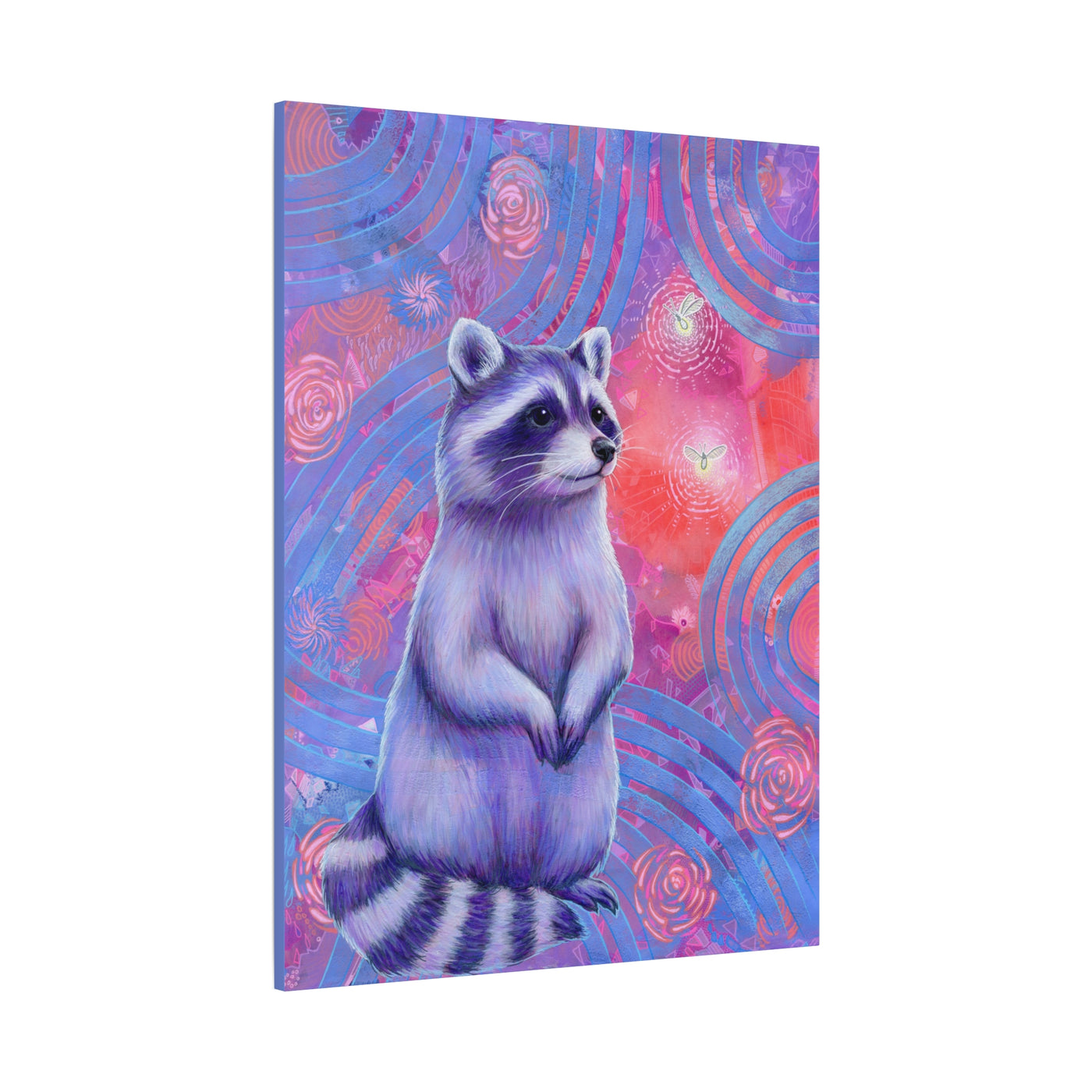 Curious Raccoon Canvas Print
