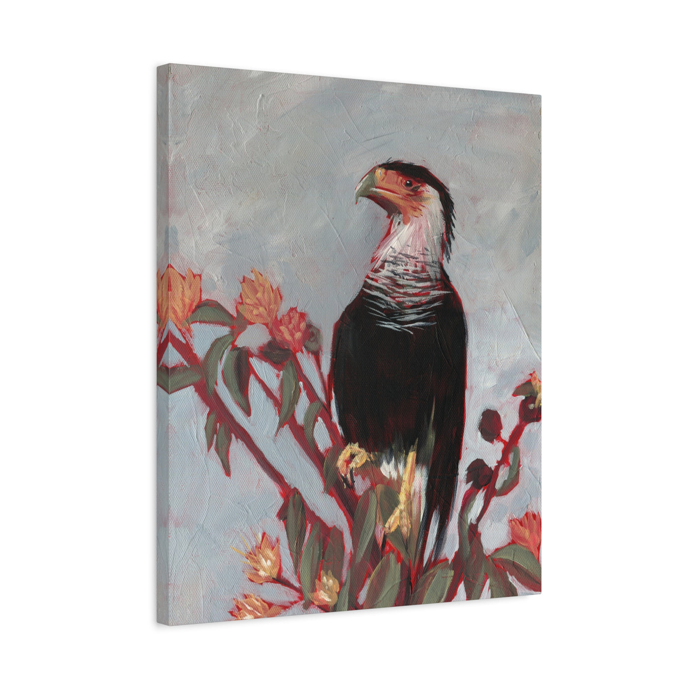 Crested Caracara Print