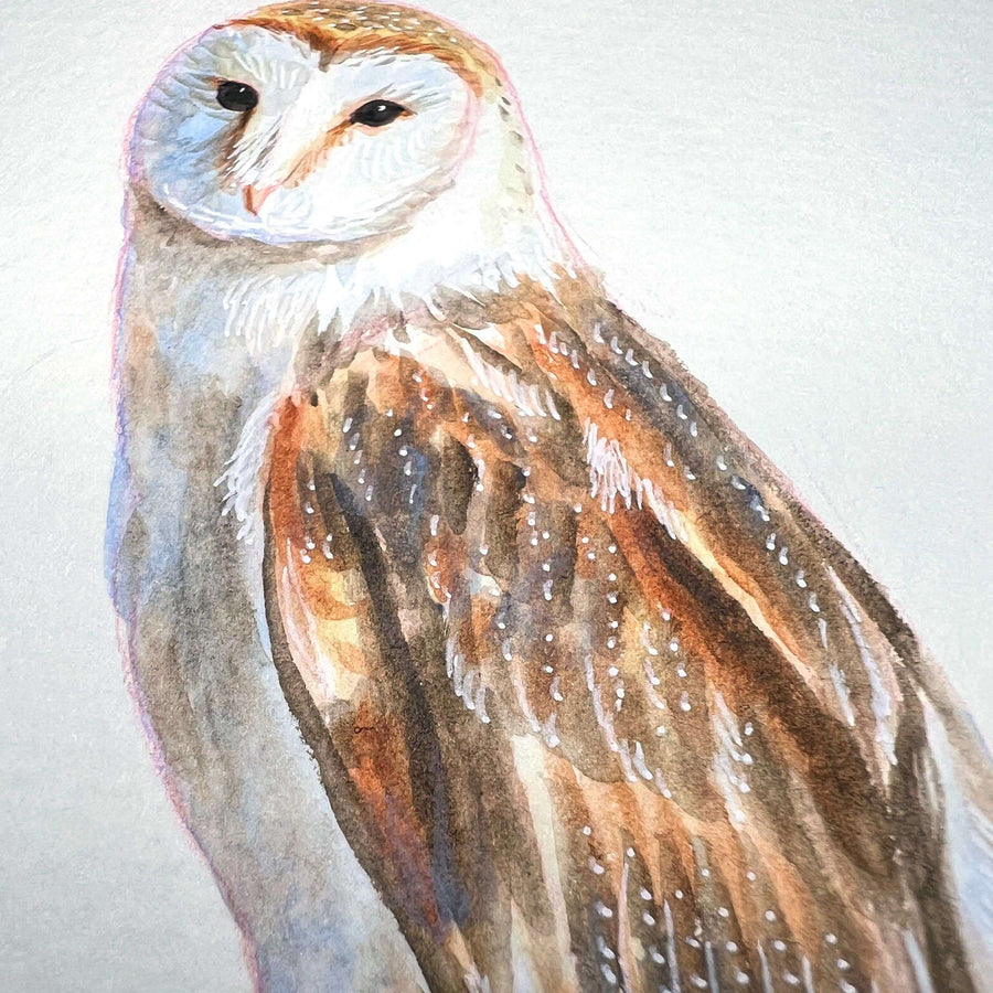 Watercolor painting of a detailed barn owl in profile view.