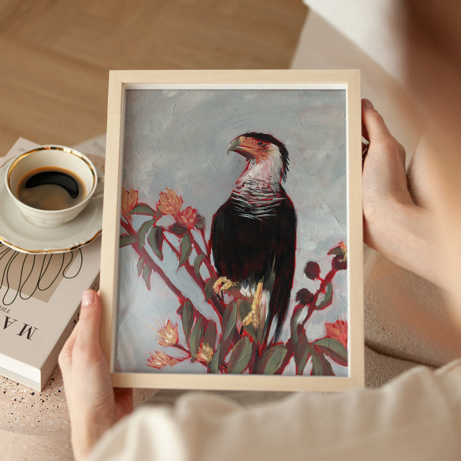 Crested Caracara - Fine Art Print