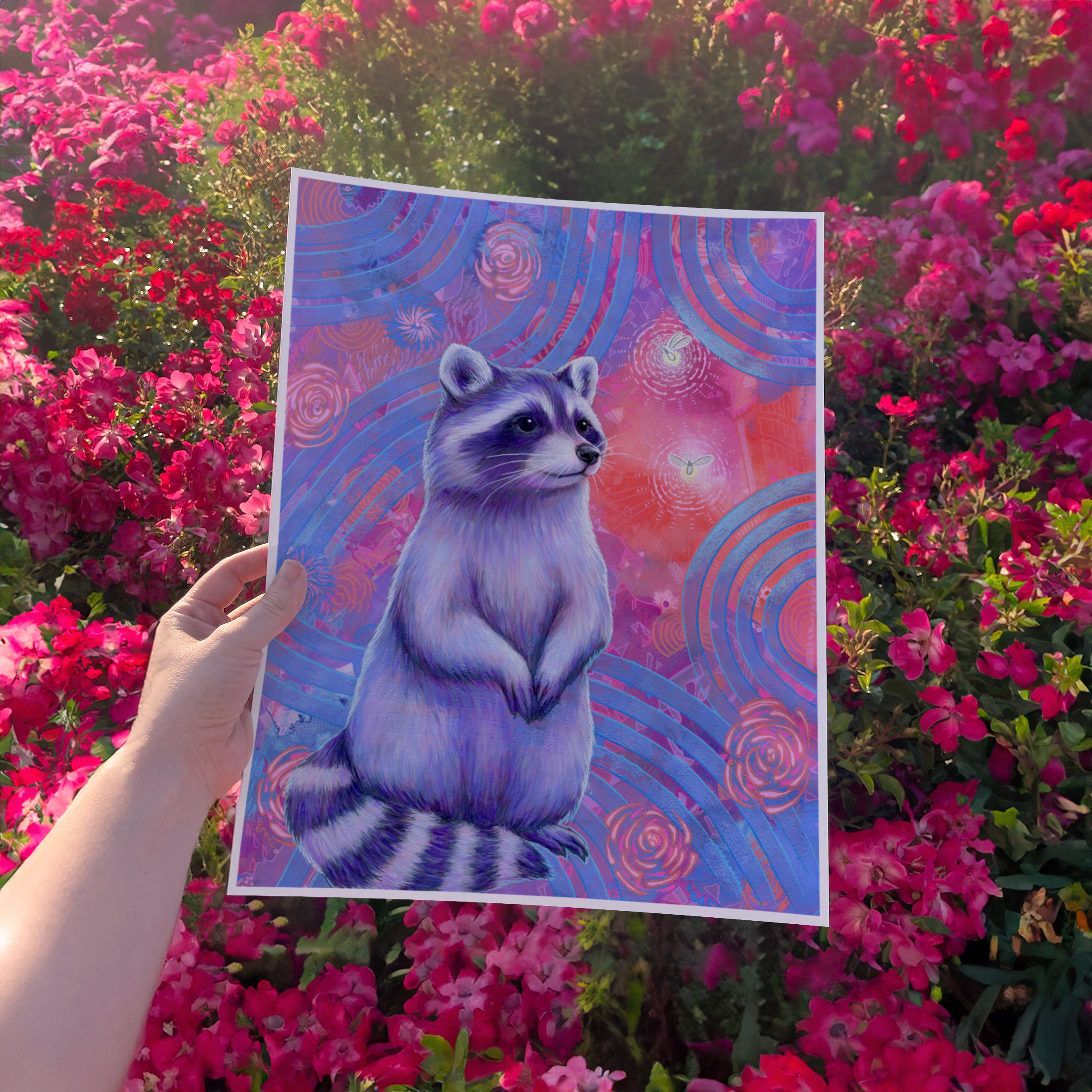 Curious Raccoon (Trash Animals) - Fine Art Print