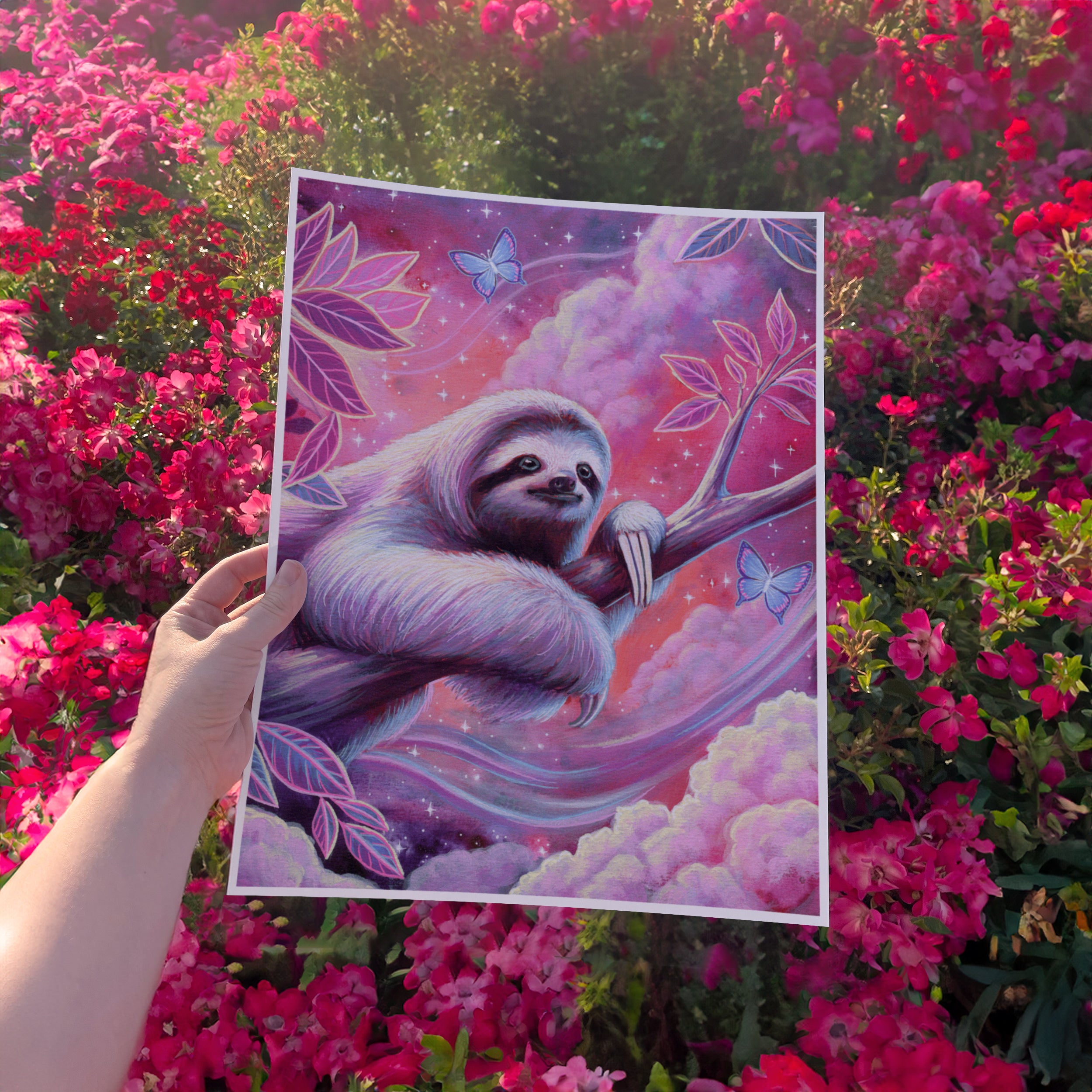 Stargazer Sloth  - Fine Art Print