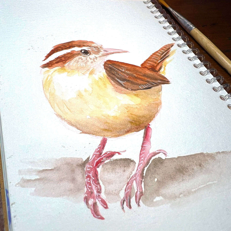 Watercolor of a finch with brown plumage and inquisitive eyes on a white sketch book page