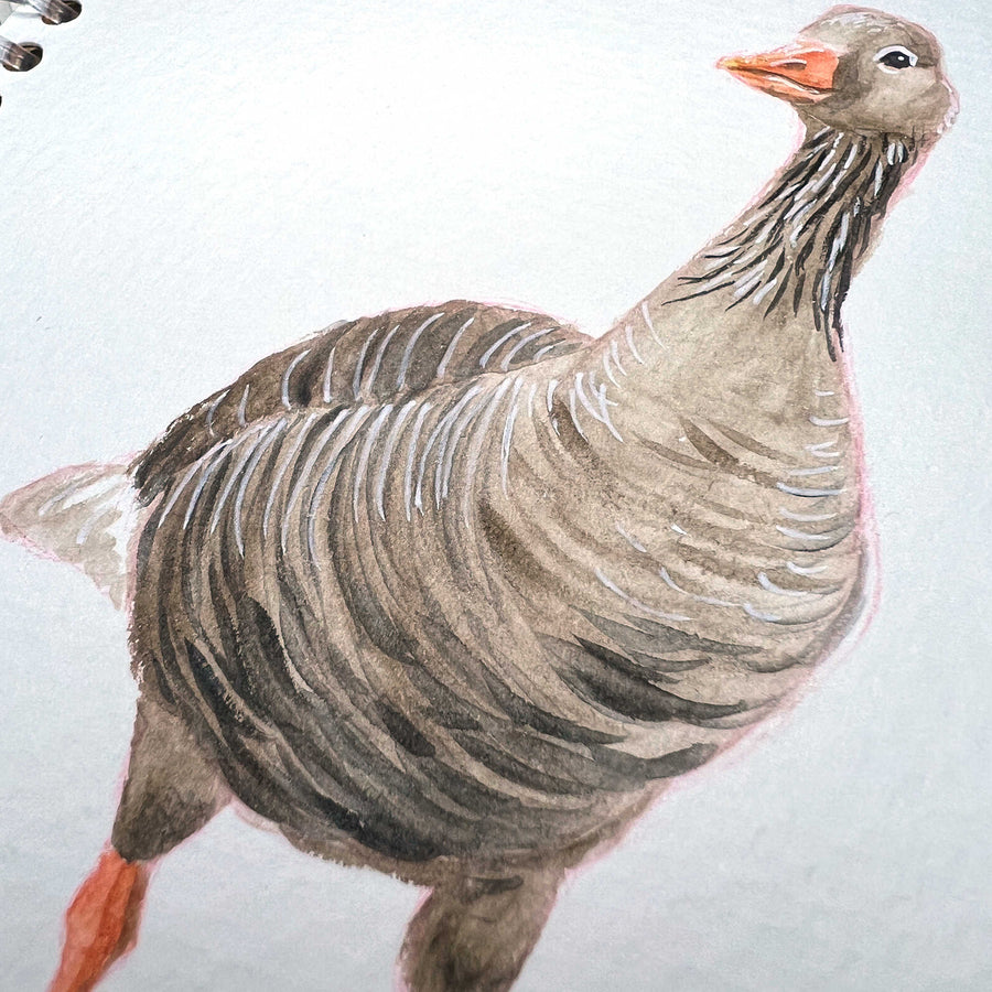 Close-up watercolor of a grey goose with detailed feathers.