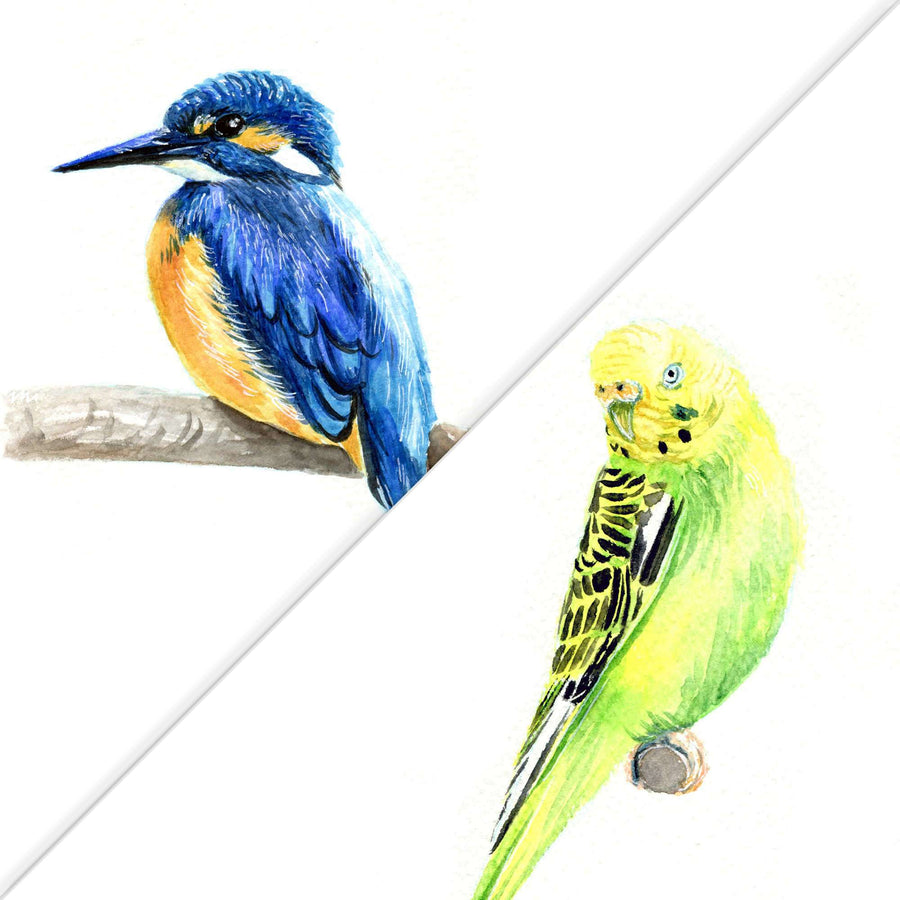 Watercolor artworks of a blue kingfisher and a green parakeet.