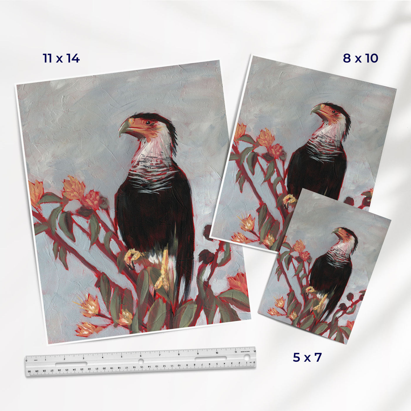 Crested Caracara - Fine Art Print