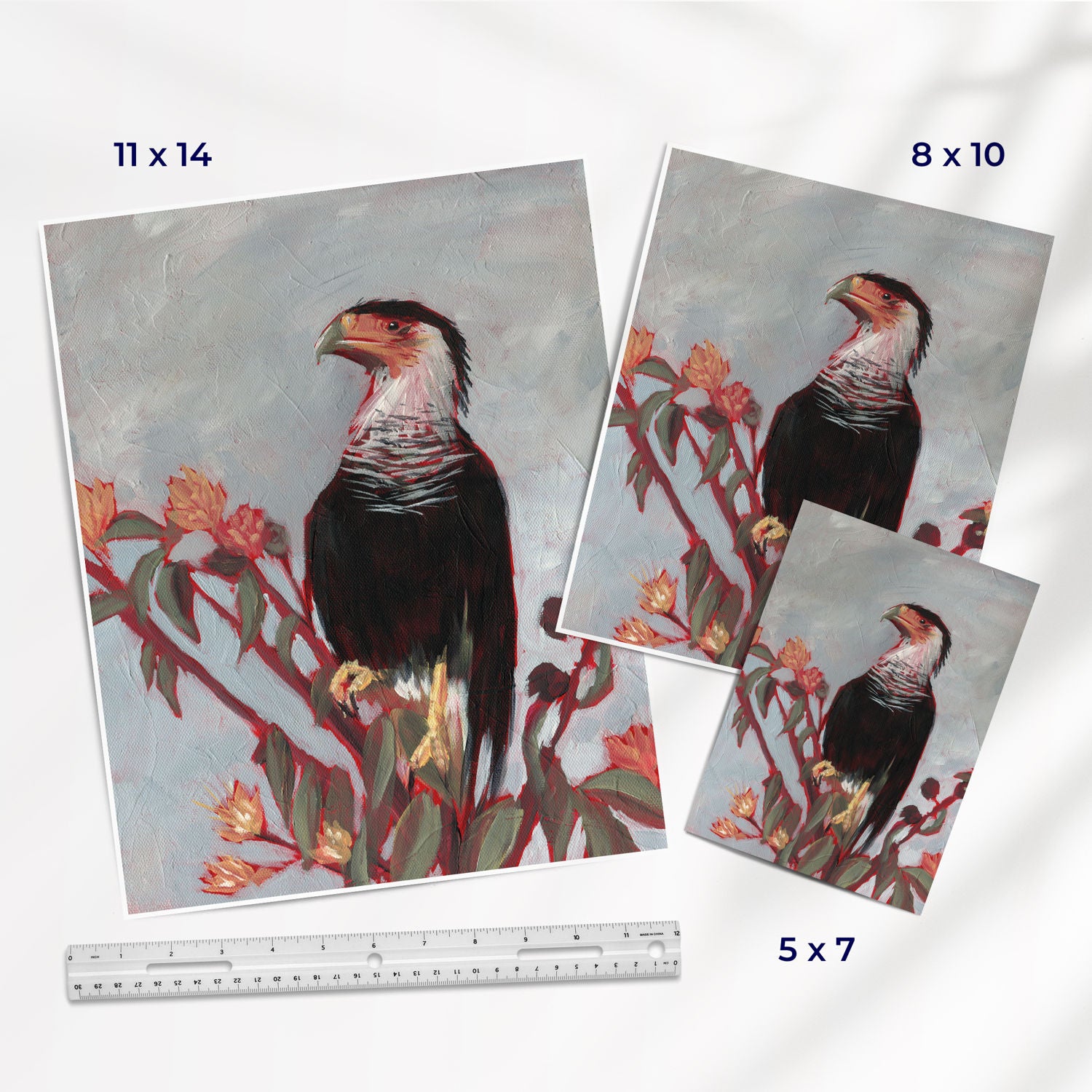 Crested Caracara - Fine Art Print