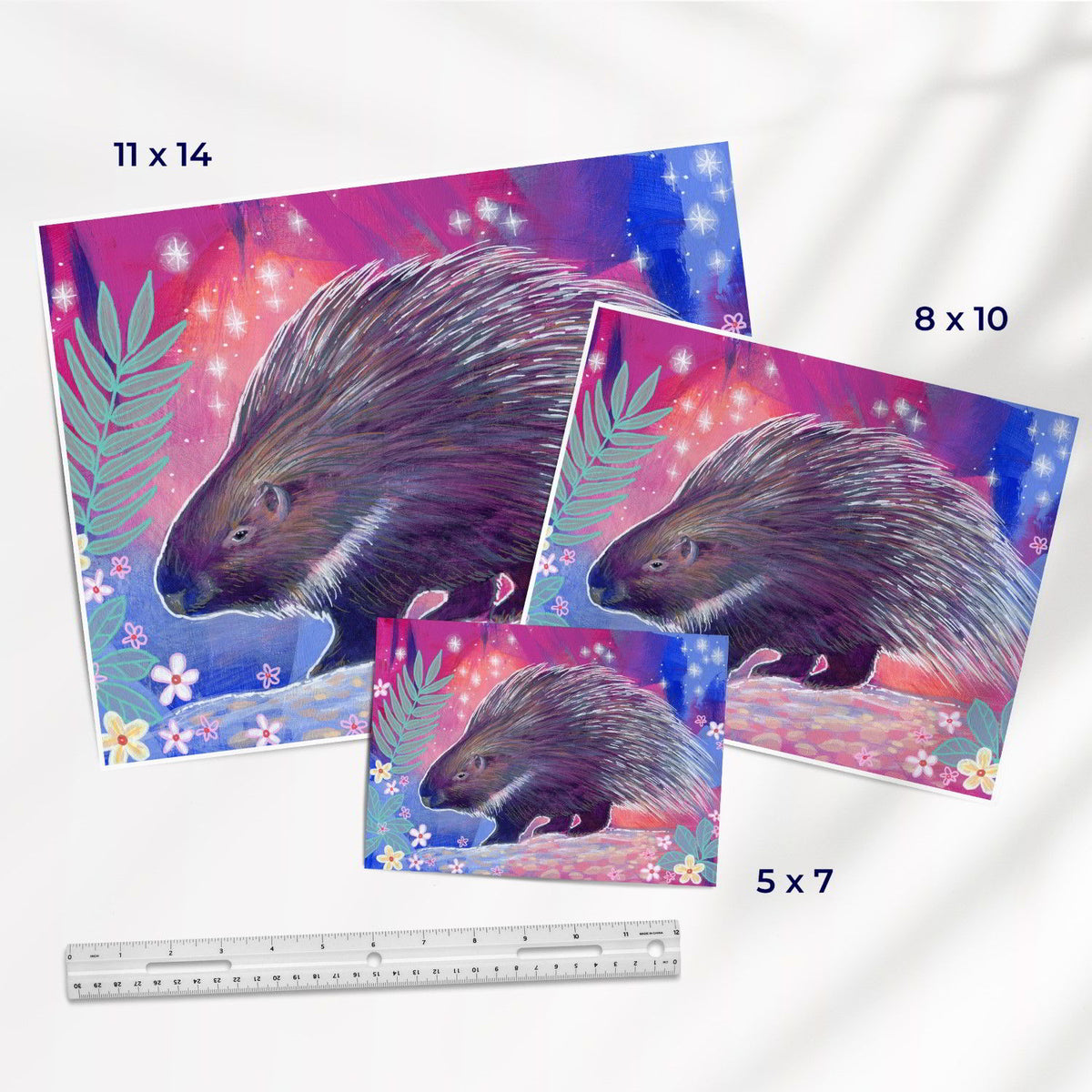 The Porcupine (Southwest Critters) - Fine Art Print