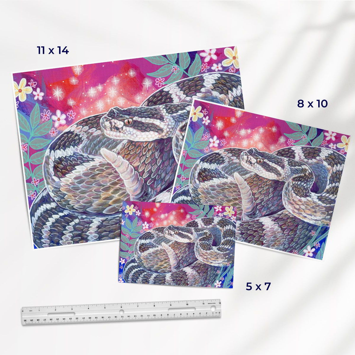 The Rattlesnake (Southwest Critters) - Fine Art Print