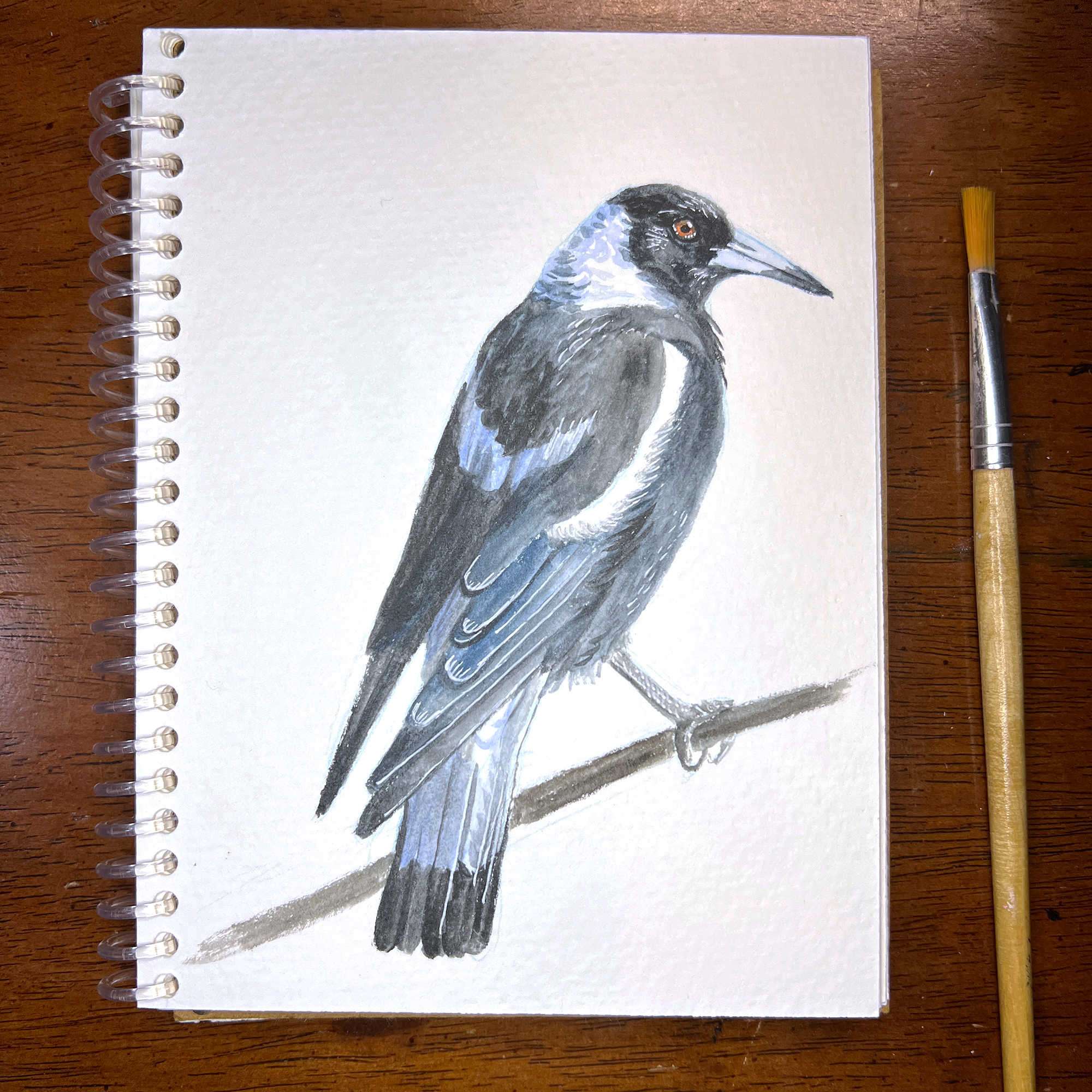 Artistic watercolor rendition of a magpie showcased on a spiral-bound notebook with a brush aside.