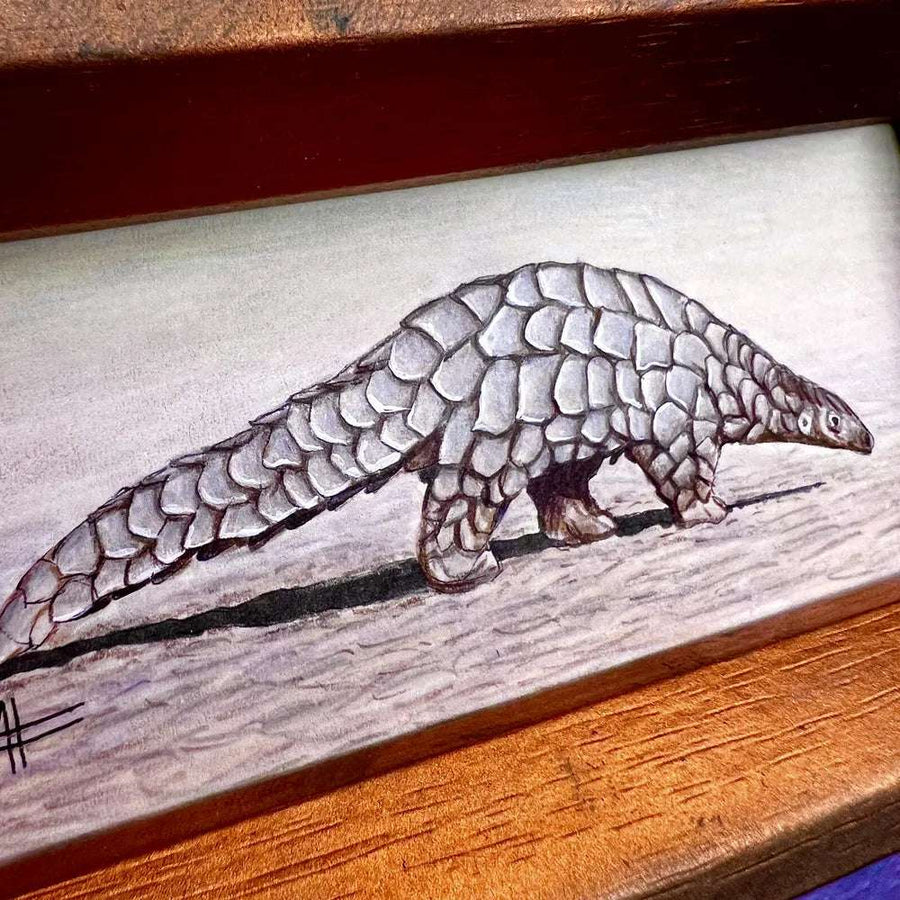 Close-up of a watercolor pangolin showcasing intricate scale details within a deep wooden frame.