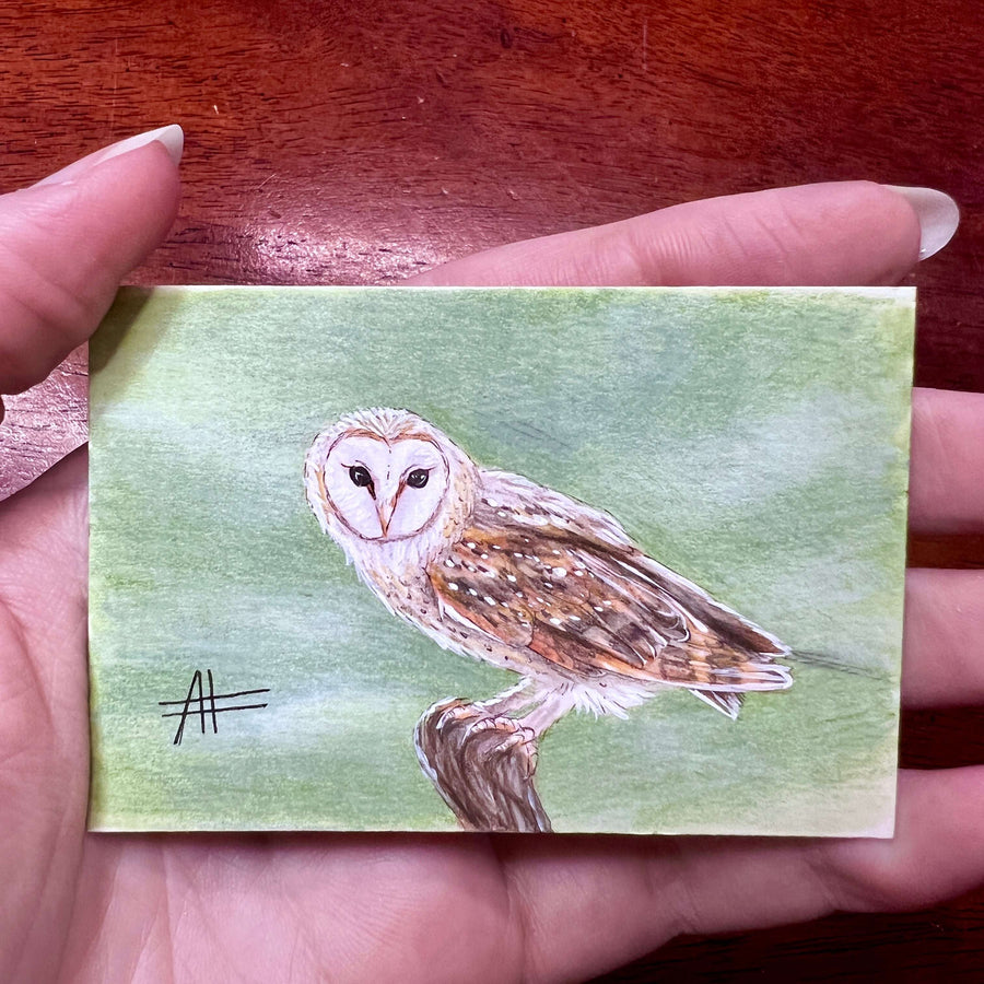 Miniature owl painting held in hand, showing intricate brushwork.