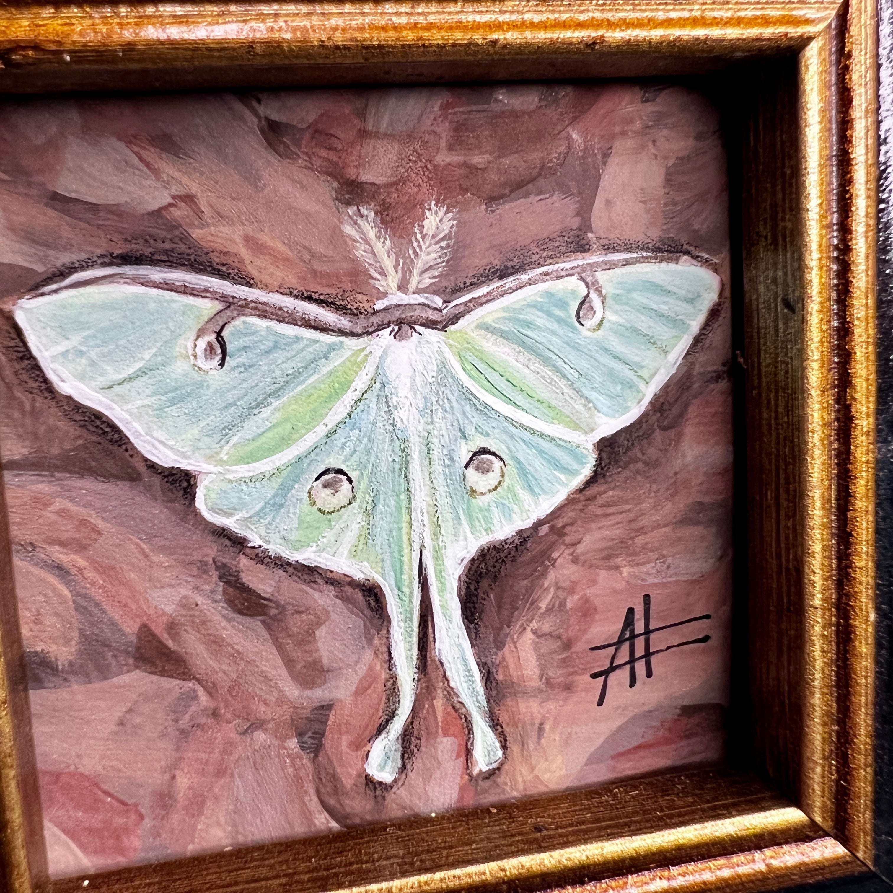 Close view of a green Luna moth painting in a textured black frame, with attention to wing details.