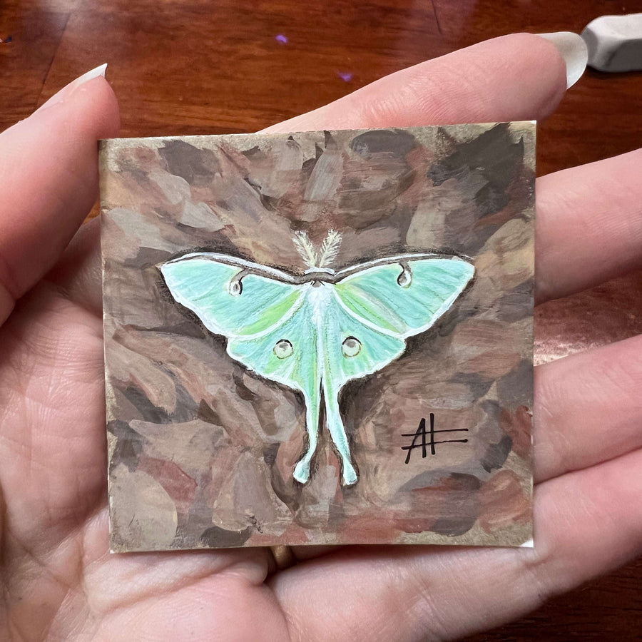 A delicate Luna moth watercolor and gouache painting held between fingers, displaying earthy background tones.