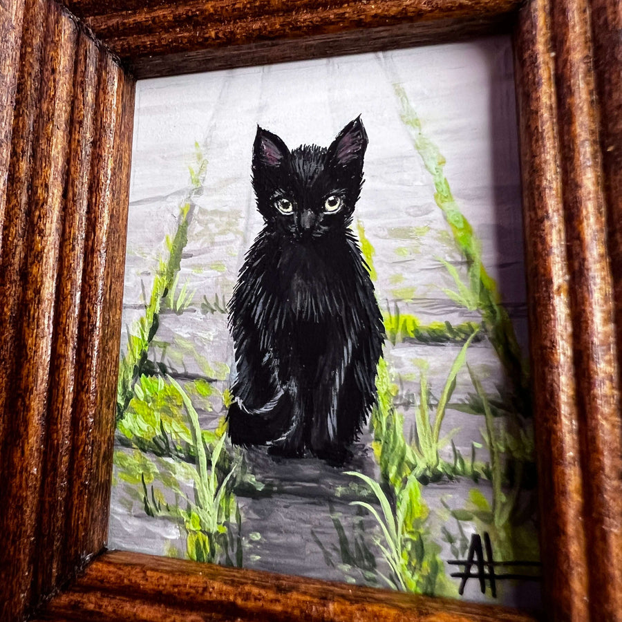 Close-up of black cat painting in a wooden frame, with sharp eyes looking at the viewer, sitting among green foliage on a concrete path