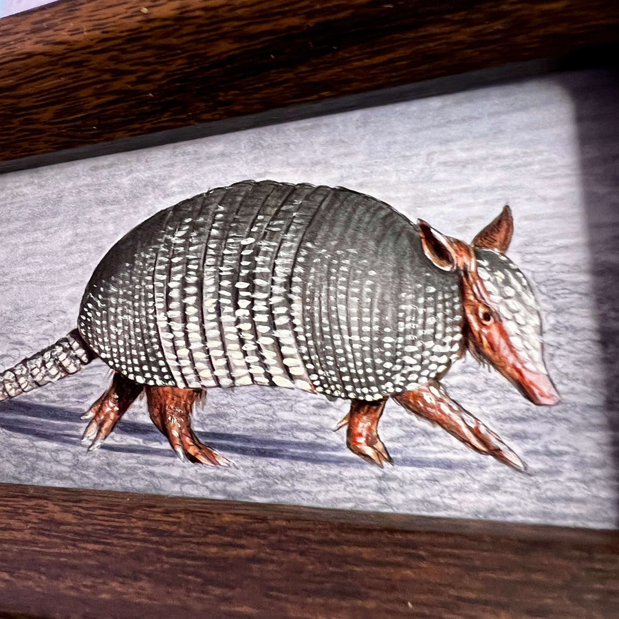 Detailed close-up of armadillo painting with scaled texture, in a dark wood frame.