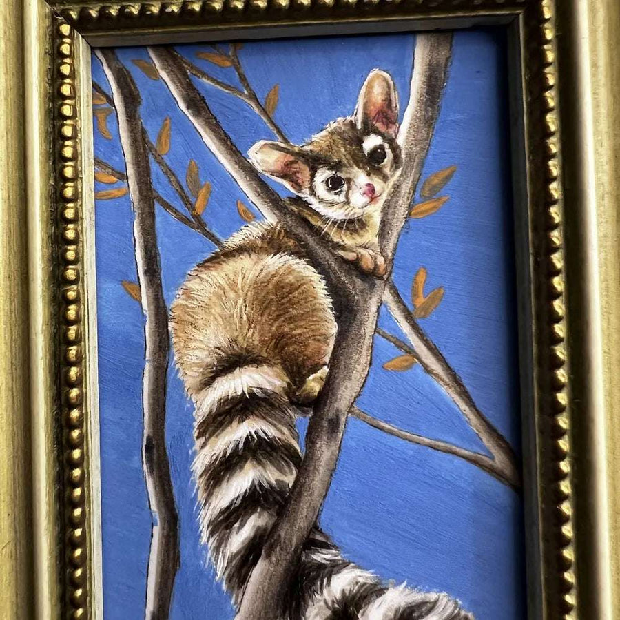 Close-up of a ringtail cat painting, focusing on its distinctive striped tail and alert eyes.