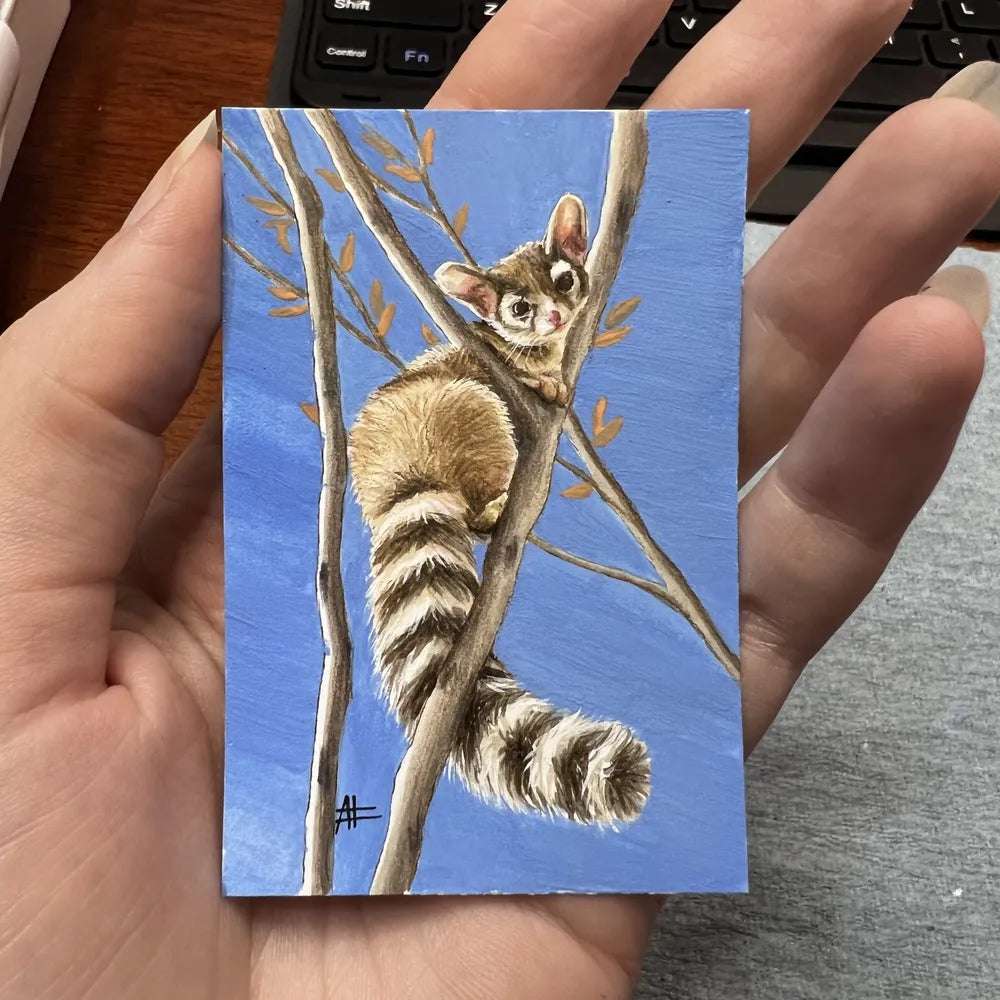 Hand holding a small painting of a ringtail cat perched on a branch against a blue sky.