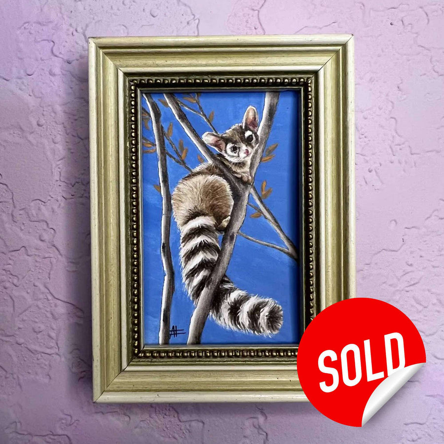Painted ringtail cat clinging to a branch in an ornate gold frame, marked sold on a purple wall.