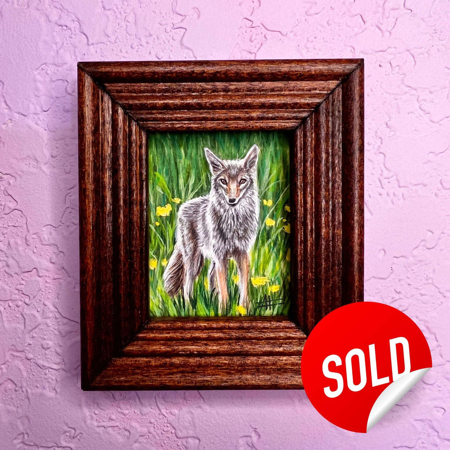A framed painting of a coyote in a field of yellow flowers on a purple wall.