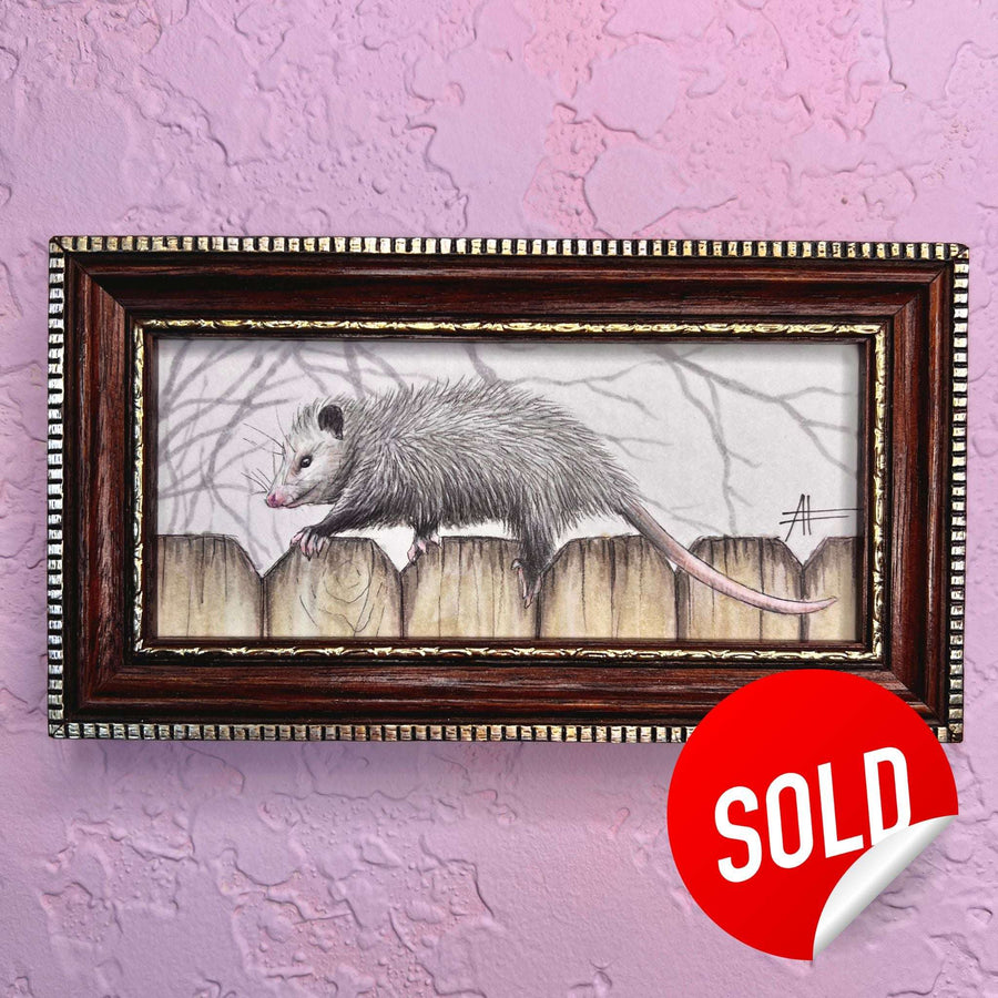 Ornate framed mini painting of an opossum walking on a wooden fence, marked sold on a purple wall.