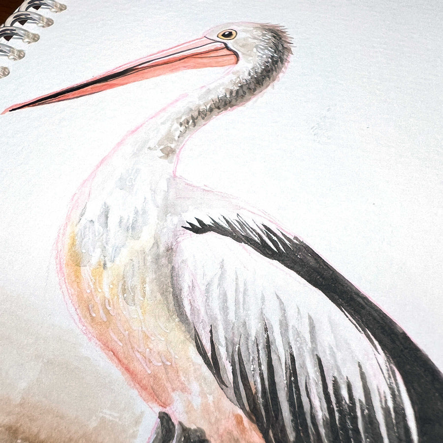 Pelican - Original Watercolor Painting of a pelican with a detailed depiction of its long beak and textured feathers in a sketchbook.