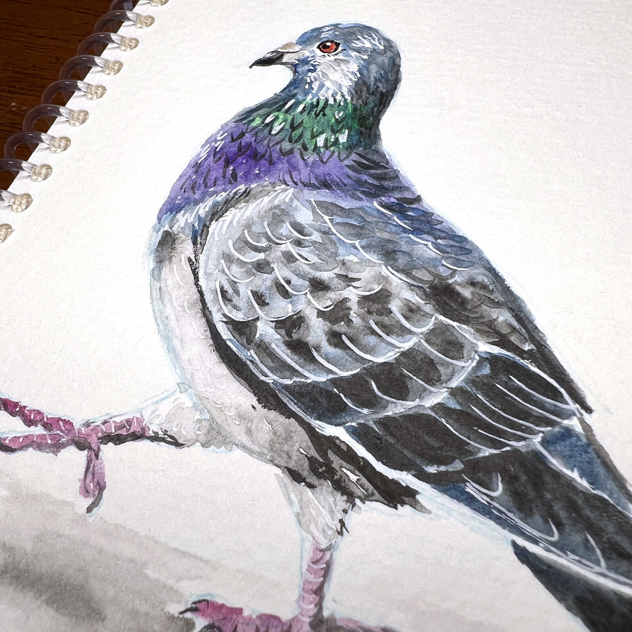 Pigeon/Rooster - Original Watercolor Painting of a pigeon with vibrant blue and grey feathers, standing on a textured surface, depicted in a detailed, realistic style.
