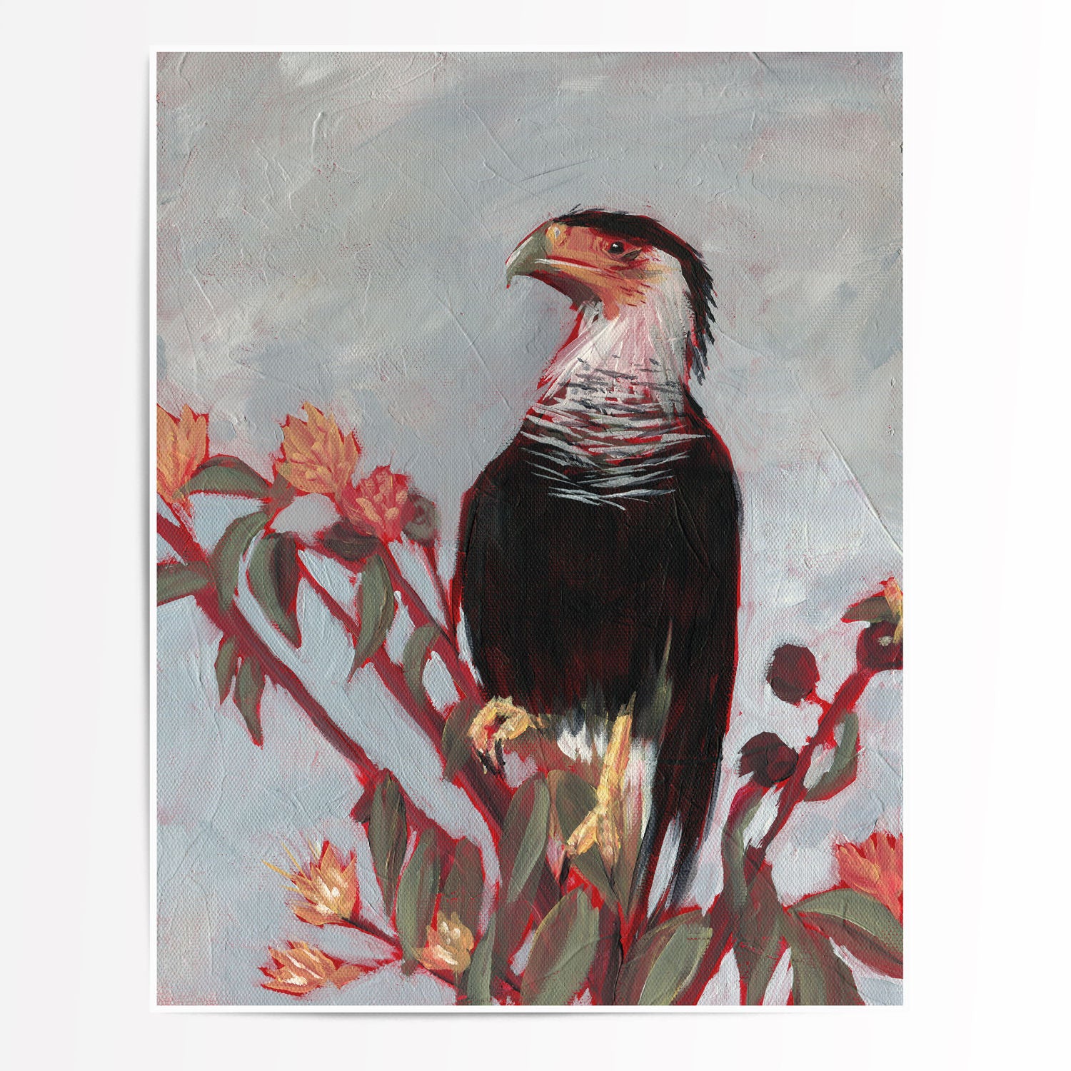 Crested Caracara - Fine Art Print