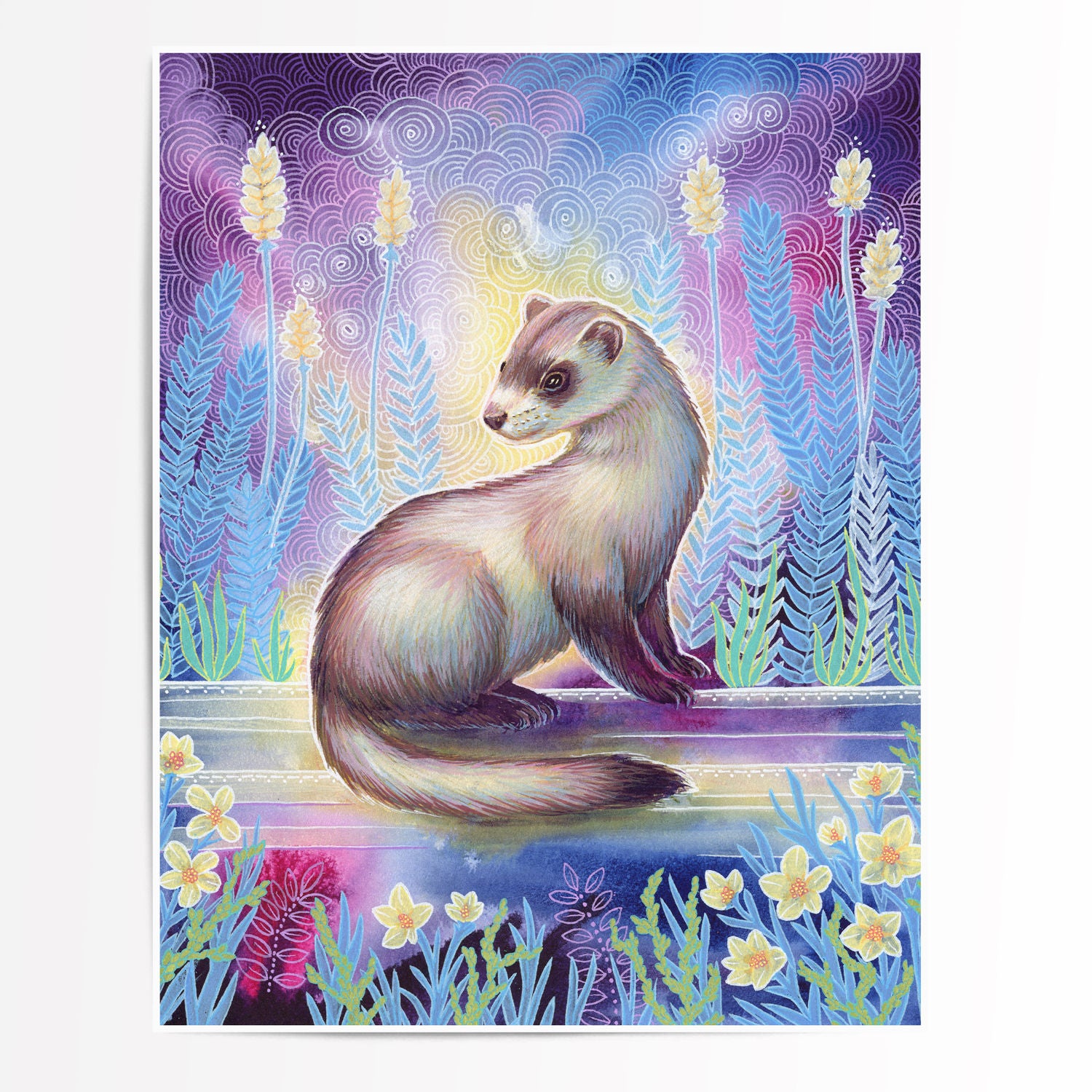 The Ferret - Fine Art Print