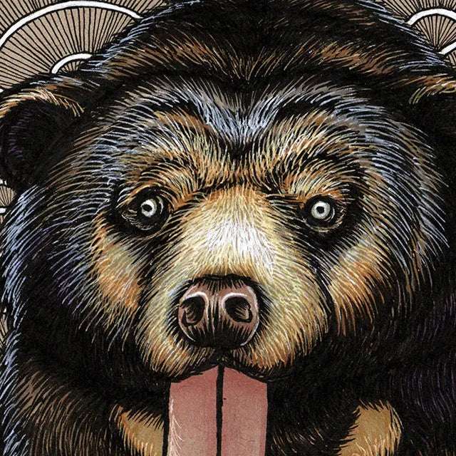 Illustration of a Sun Bear's face with detailed, expressive features and a sticking out tongue, framed by ornate circular patterns.