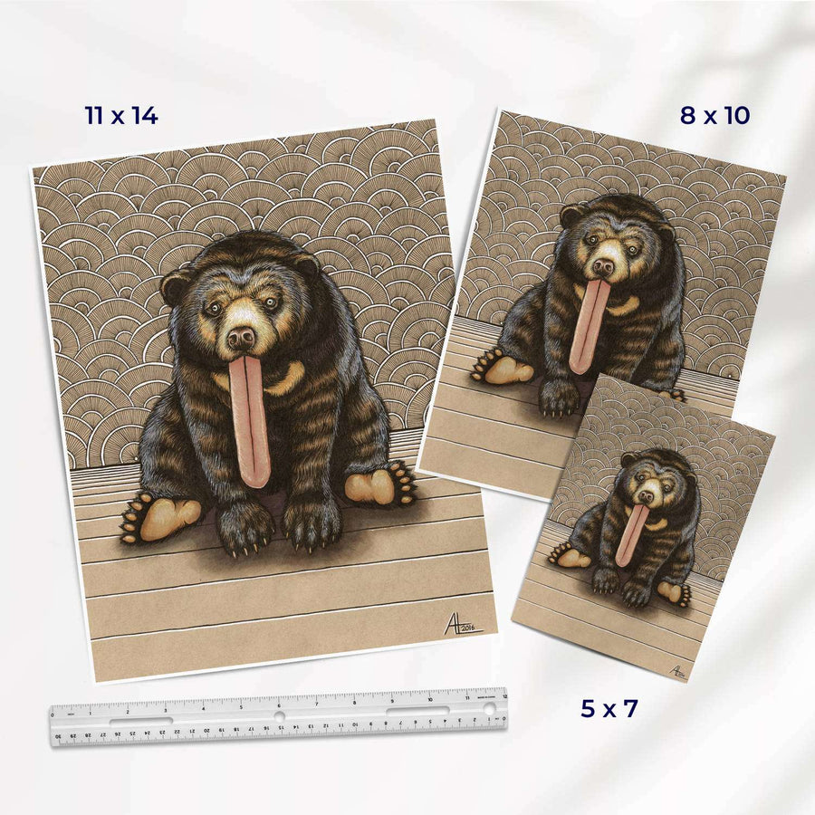 Illustration of a Sun Bear sitting on wooden steps, tongue out, in three sizes: 11x14, 8x10, and 5x7 inches, displayed with a ruler for scale.