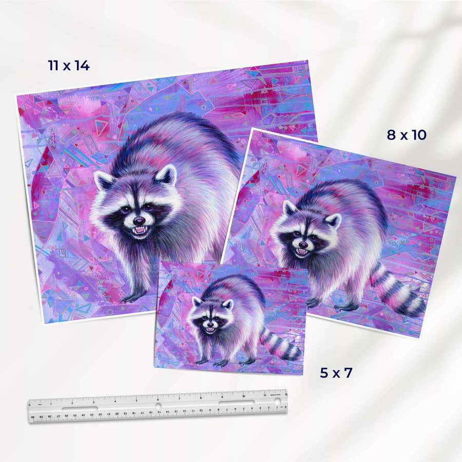Three Raccoon Fine Art Prints featuring a stylized raccoon on a vibrant purple and pink abstract background, displayed in sizes 11x14, 8x10, and 5x7 inches next to a ruler.