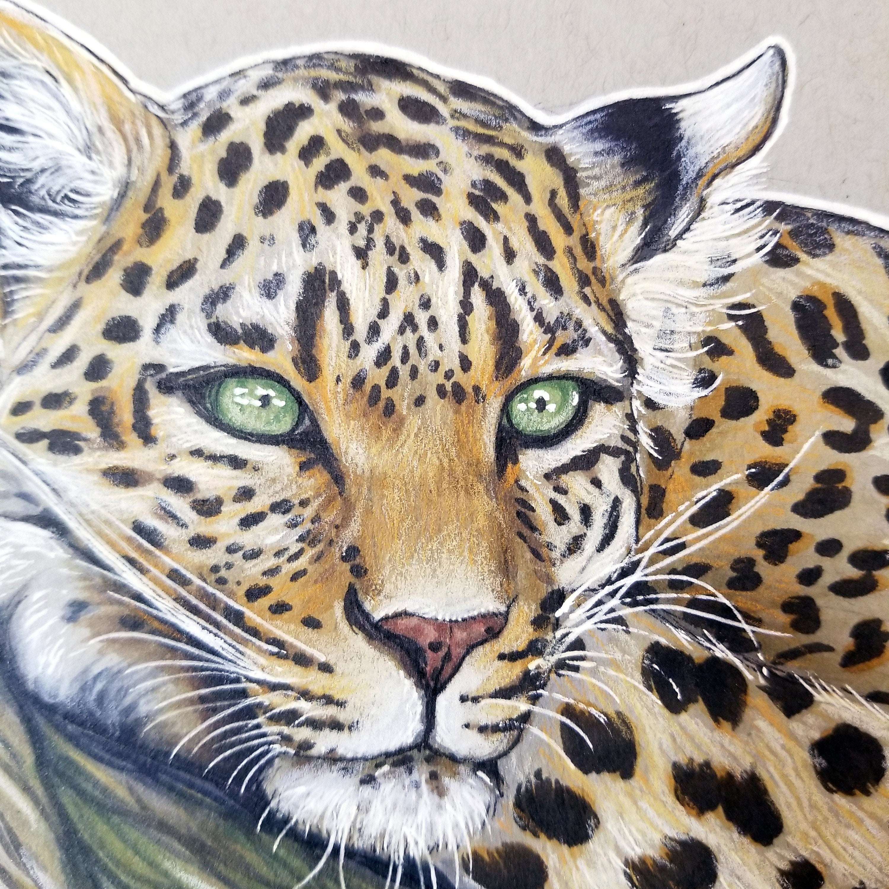 Close-up illustration of a Young Leopard with detailed fur patterns and striking green eyes on a textured background.